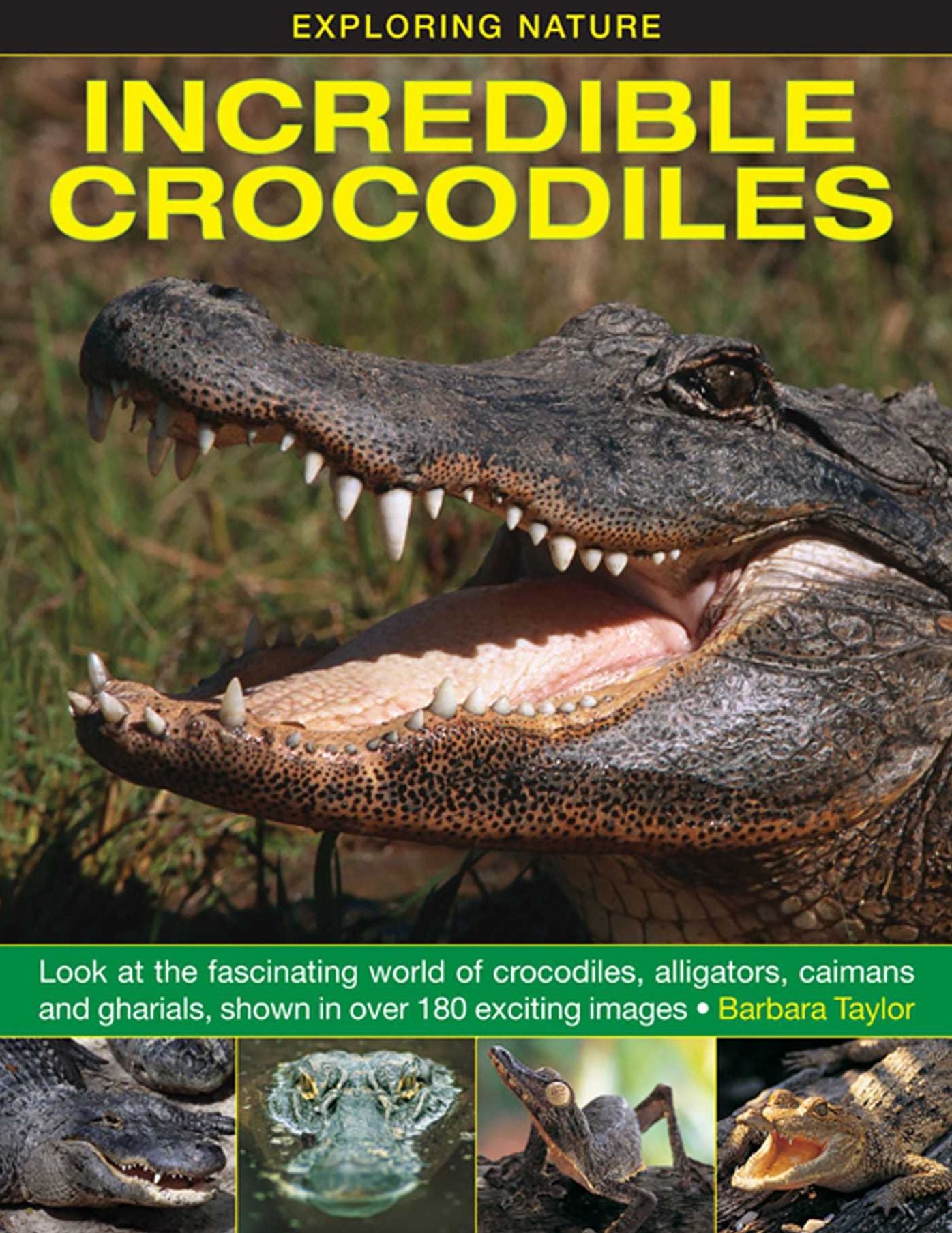 Incredible Crocodiles: Look At The Fascinating World Of Crocodiles, Alligators, Caimans And Gharials, Shown In Over 180 Exciting Images.