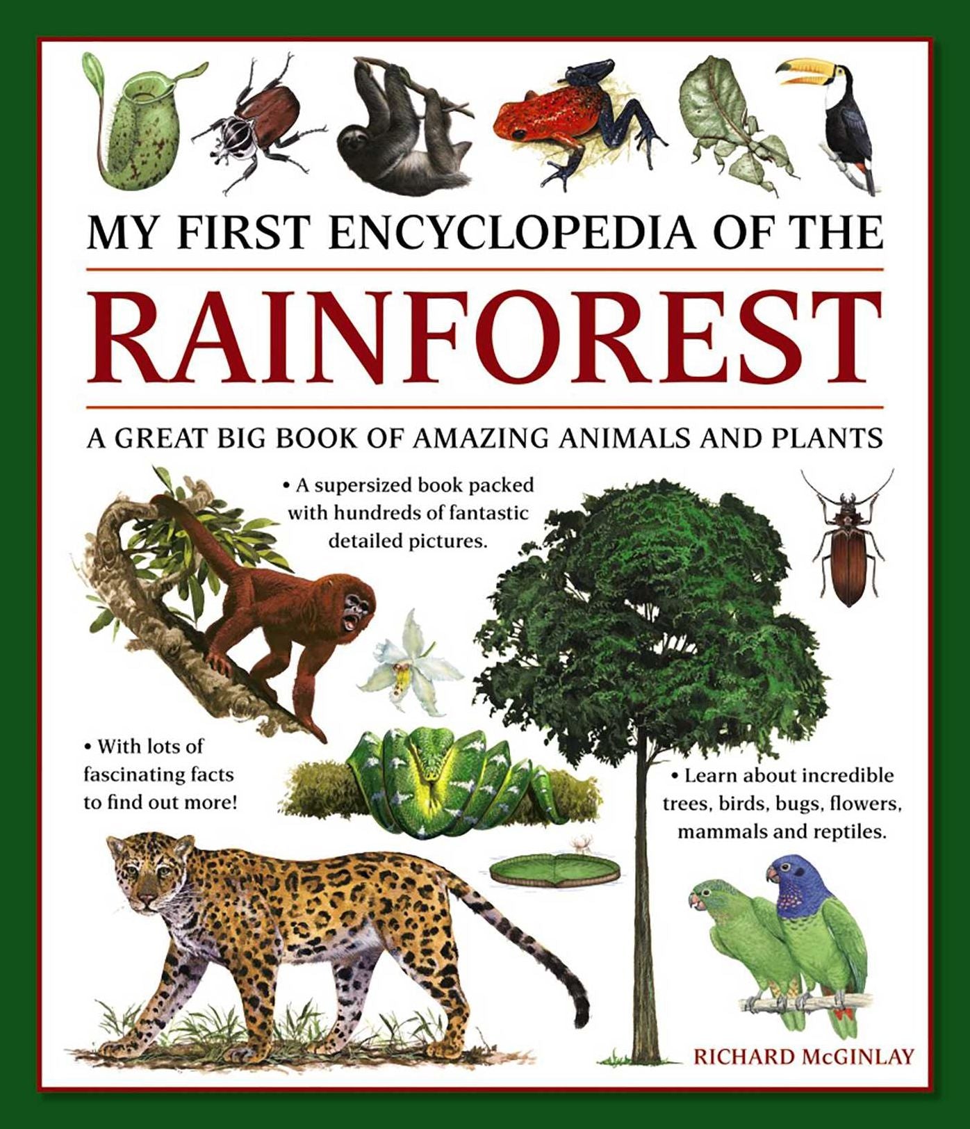 My First Encylopedia of the Rainforest: A Great Big Book Of Amazing Animals And Plants