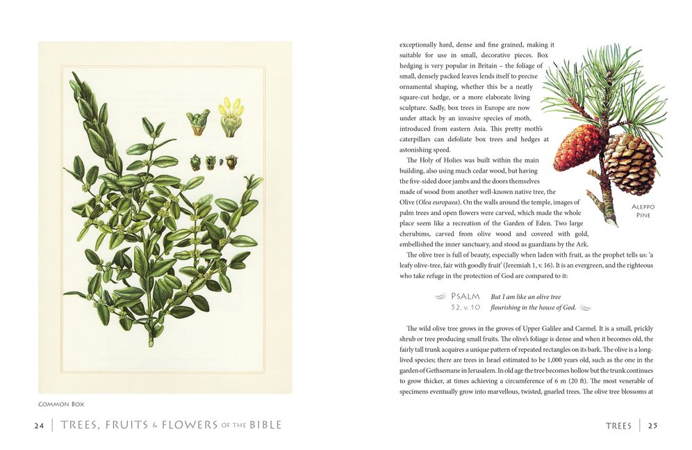 Trees, Fruits and Flowers of the Bible