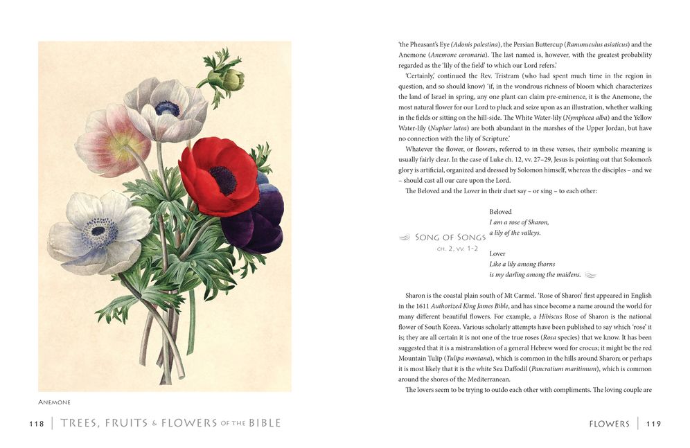 Trees, Fruits and Flowers of the Bible