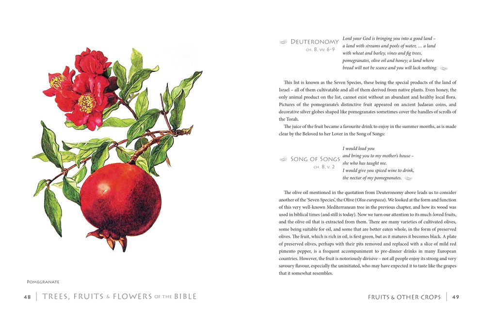 Trees, Fruits and Flowers of the Bible