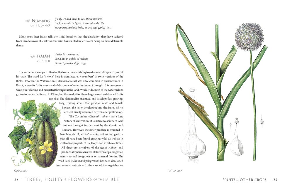 Trees, Fruits and Flowers of the Bible