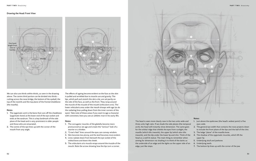 The Anatomy of Style: Figure Drawing Techniques