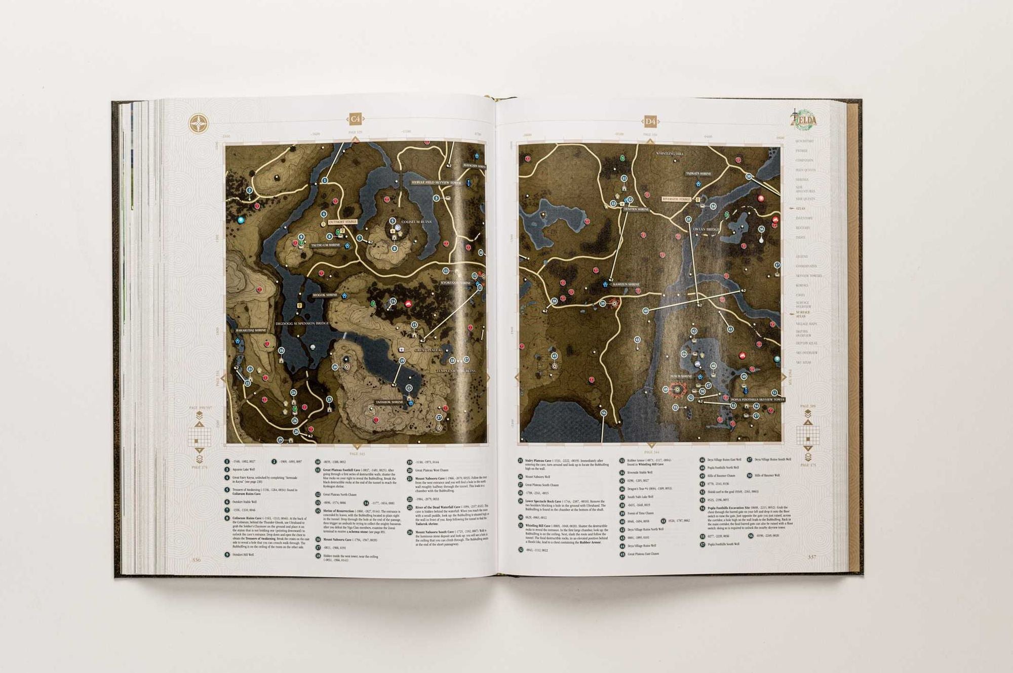 The Legend of ZeldaT: Tears of the Kingdom - The Complete Official Guide: Standard Edition