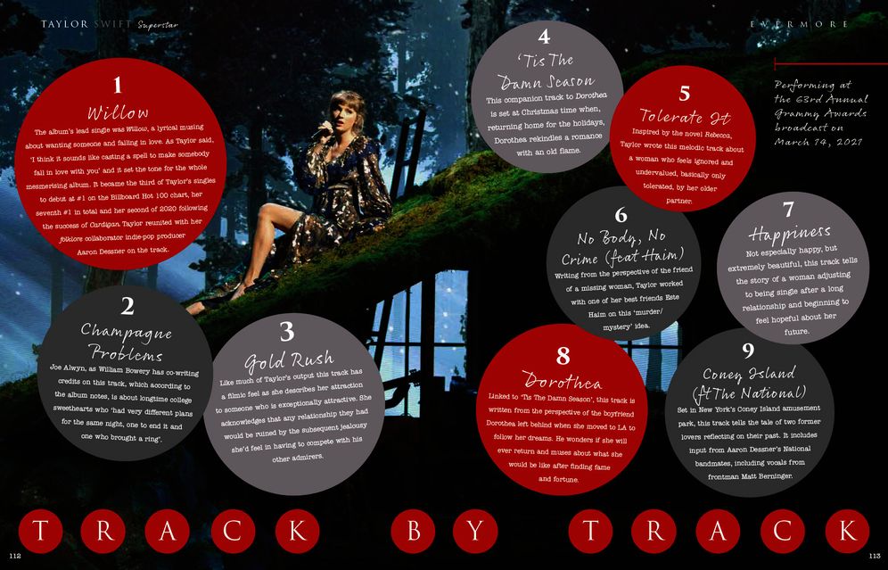 Taylor Swift - Superstar
