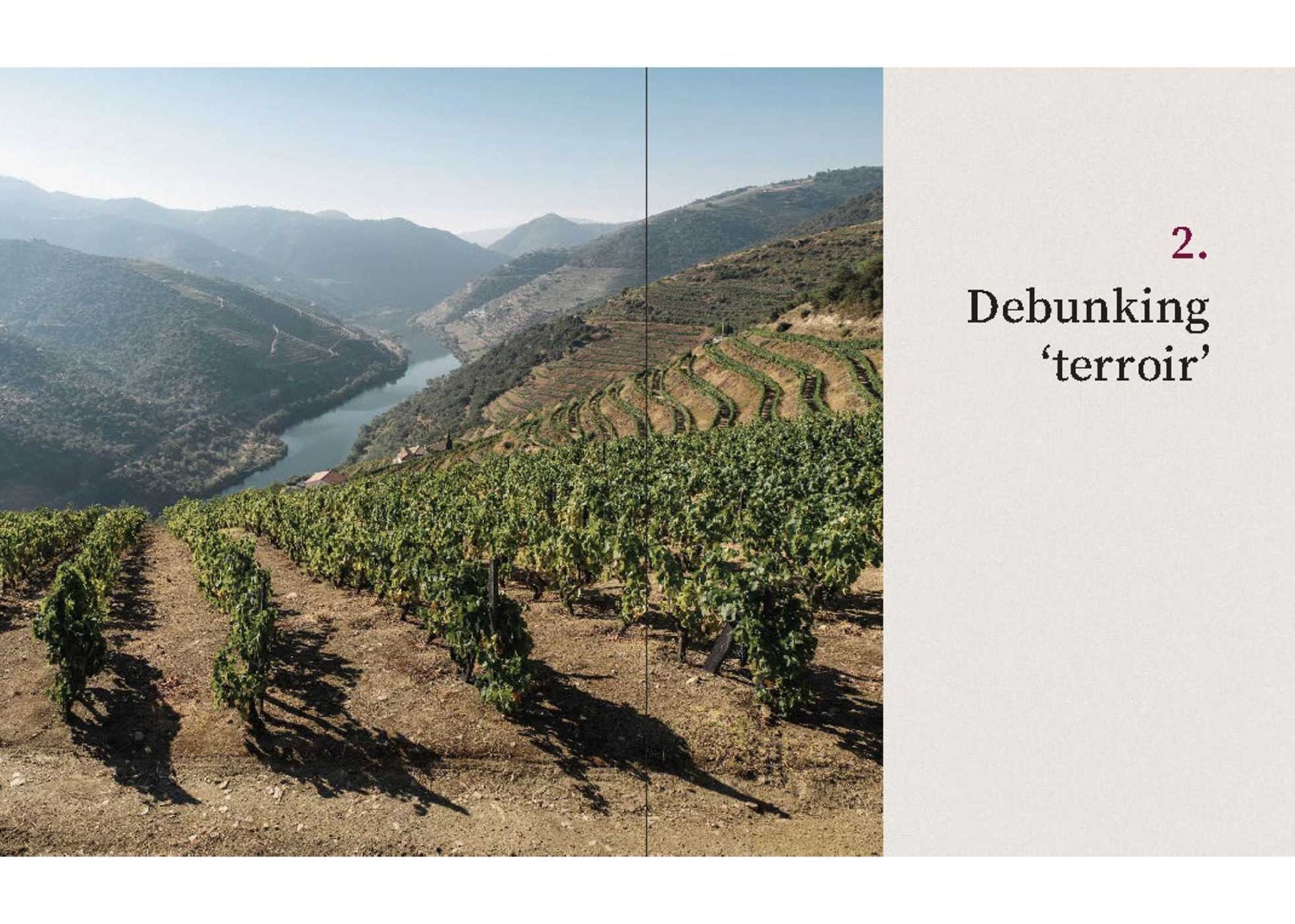 The Cynic's Guide to Wine