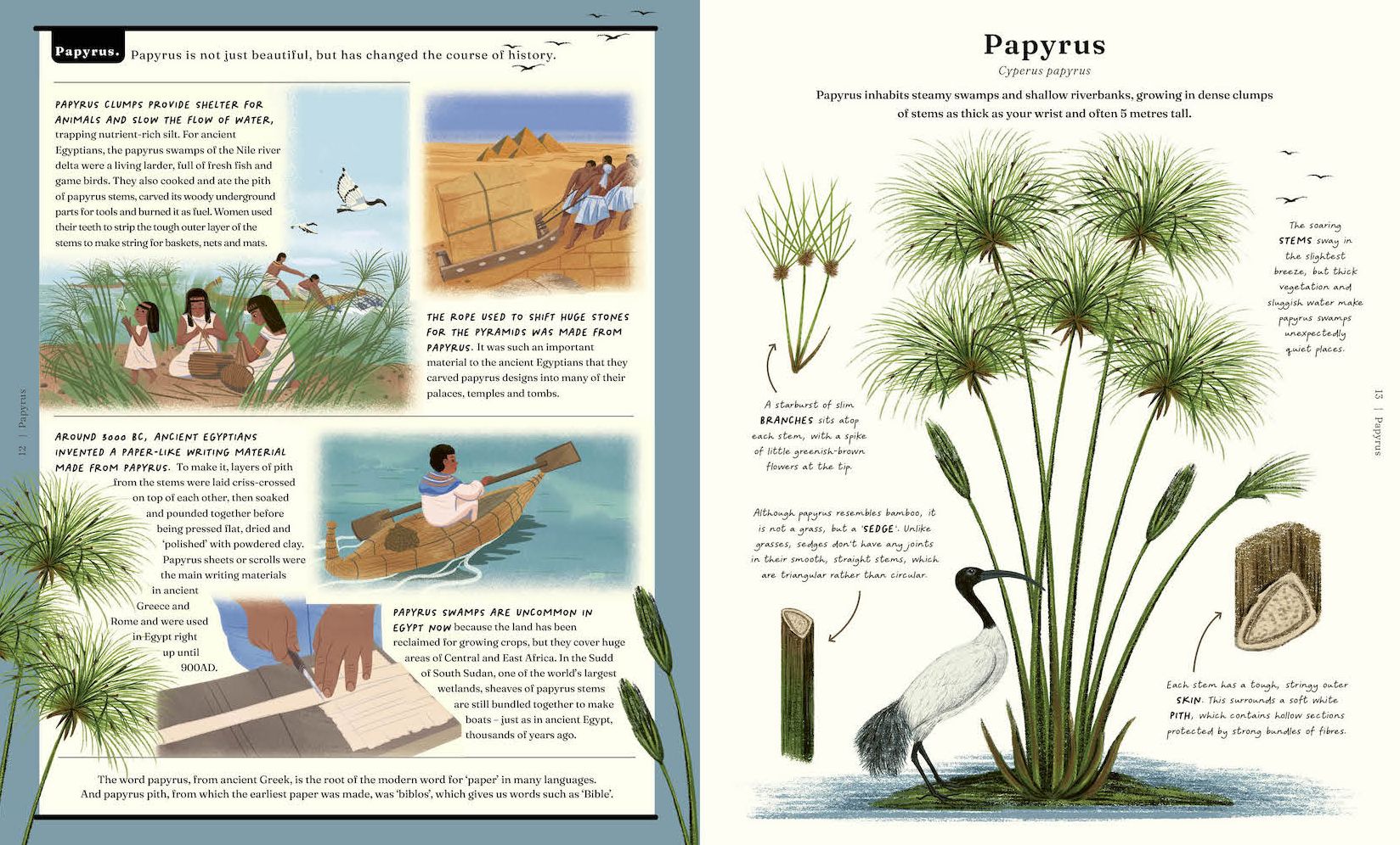 The Stuff that Stuff Is Made Of: The Things We Make With Plants