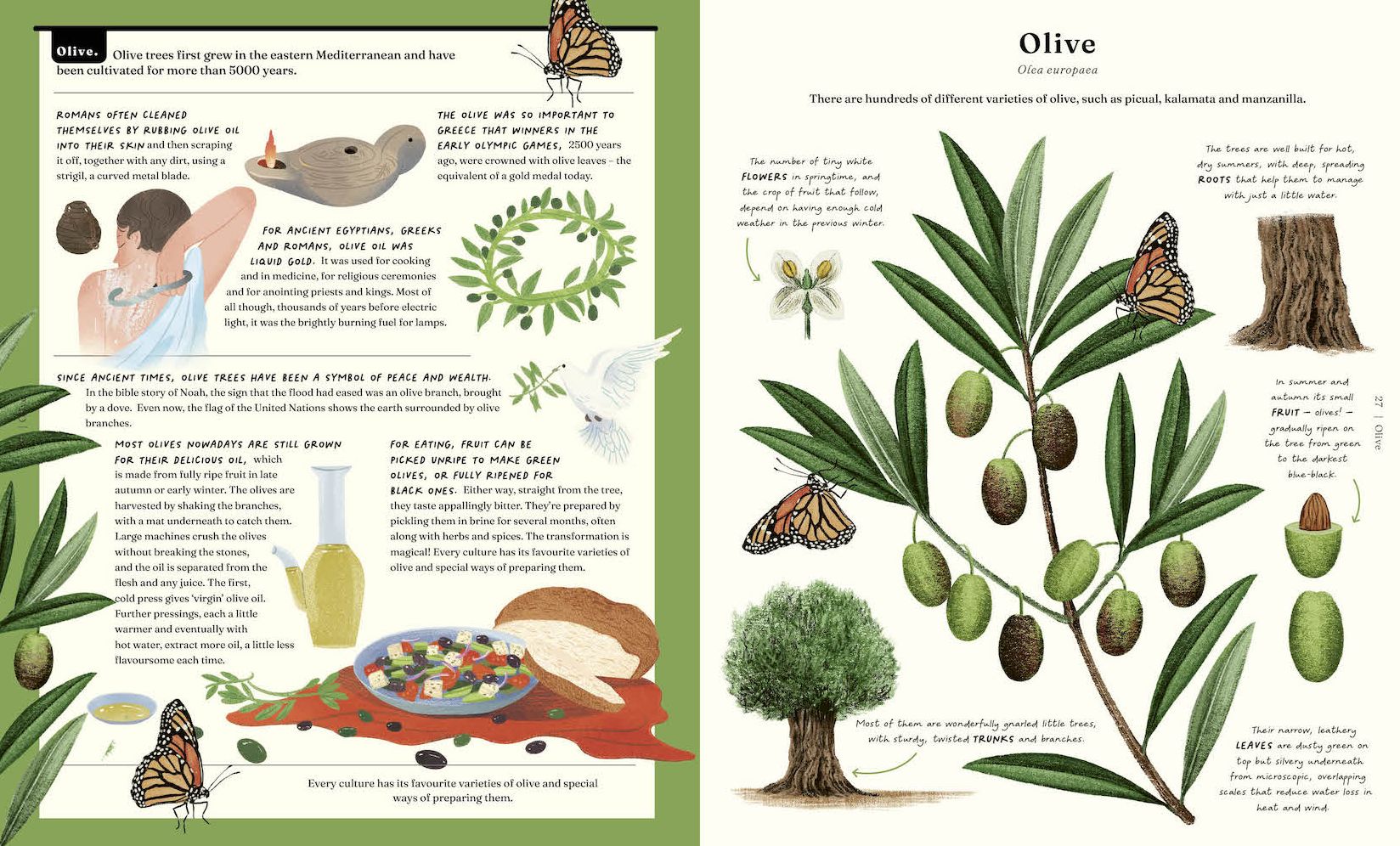 The Stuff that Stuff Is Made Of: The Things We Make With Plants