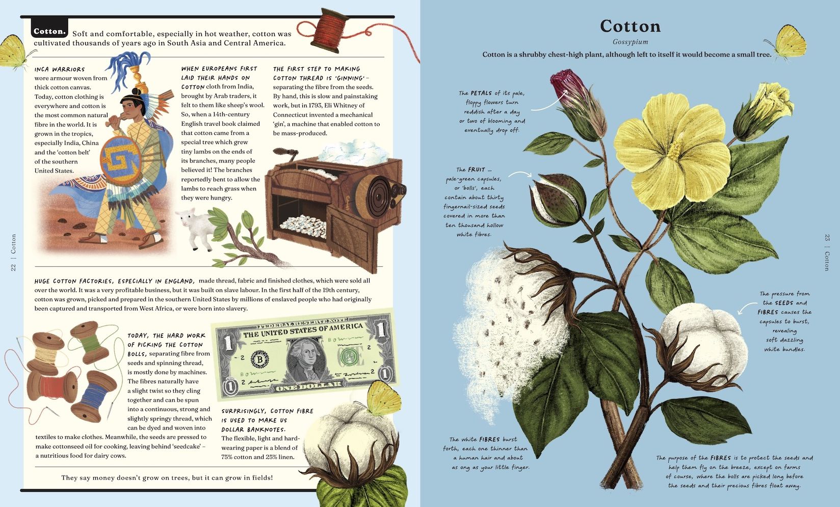 The Stuff that Stuff Is Made Of: The Things We Make With Plants