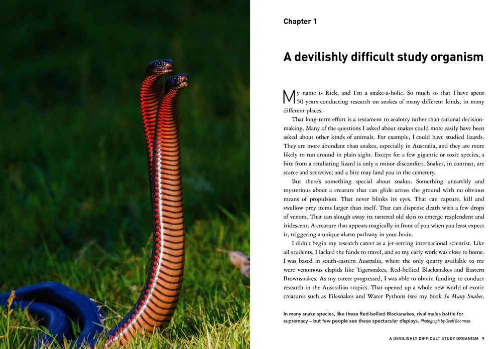 Snakes Without Borders: A collection of amazing stories from one of the world's leading herpetologists, who spent 50 years conducting research on snakes