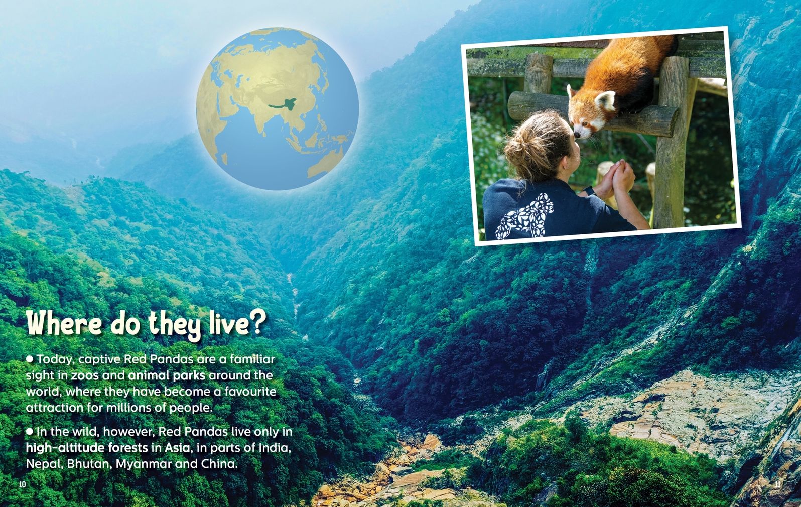 Did You Know? Red Panda: Revealing the mysteries of one of the world's cutest animals