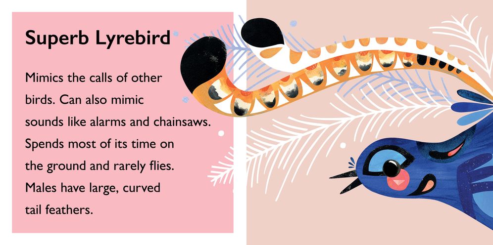 Pete Cromer: Feathers