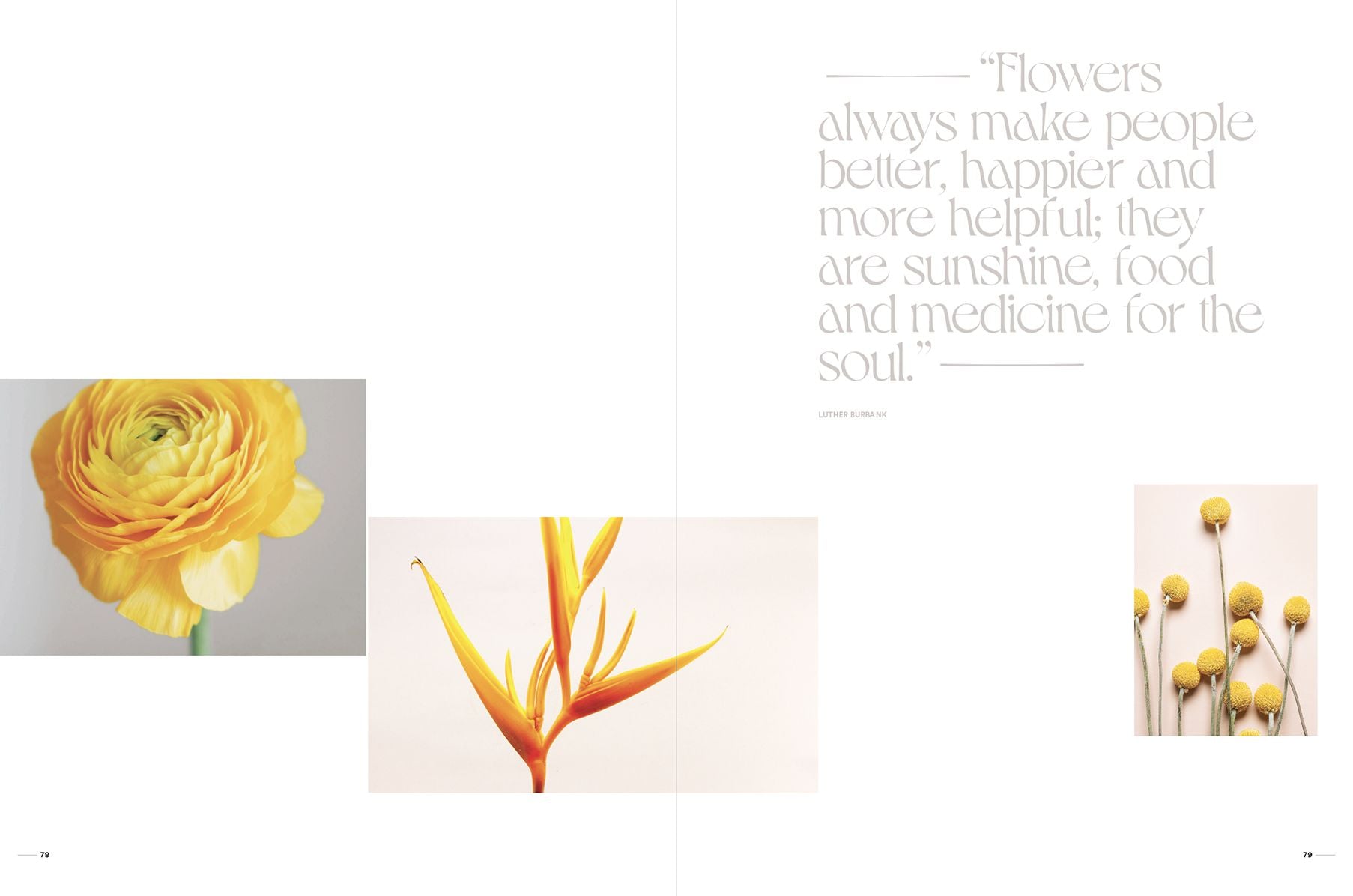 Flowers