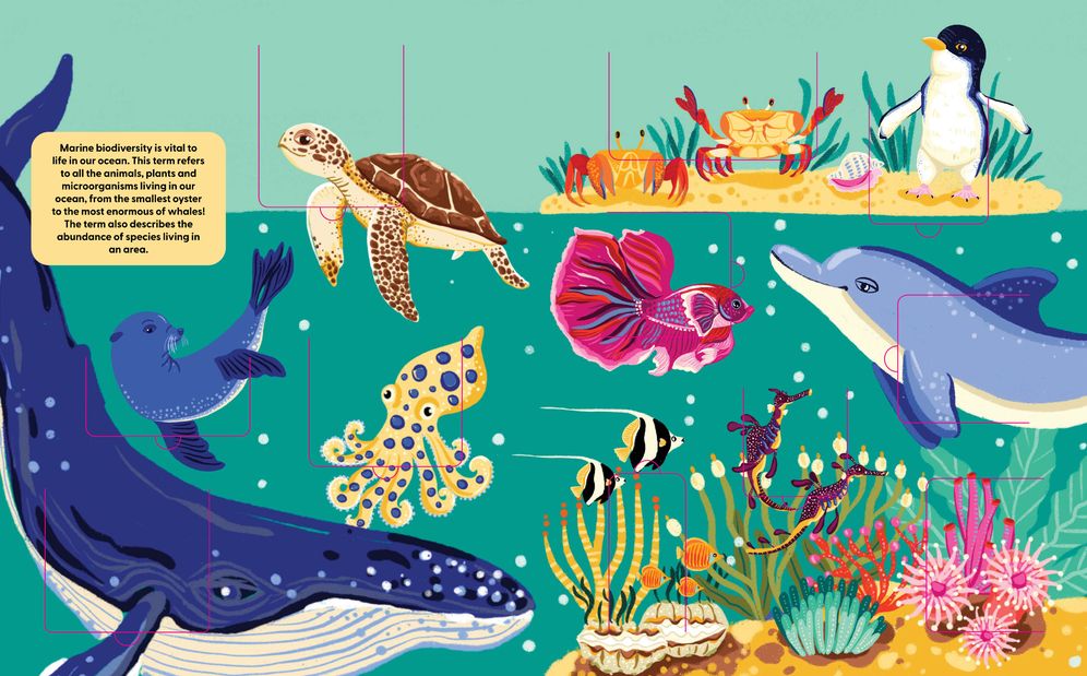 Ocean Life: A Lift the Fact Book