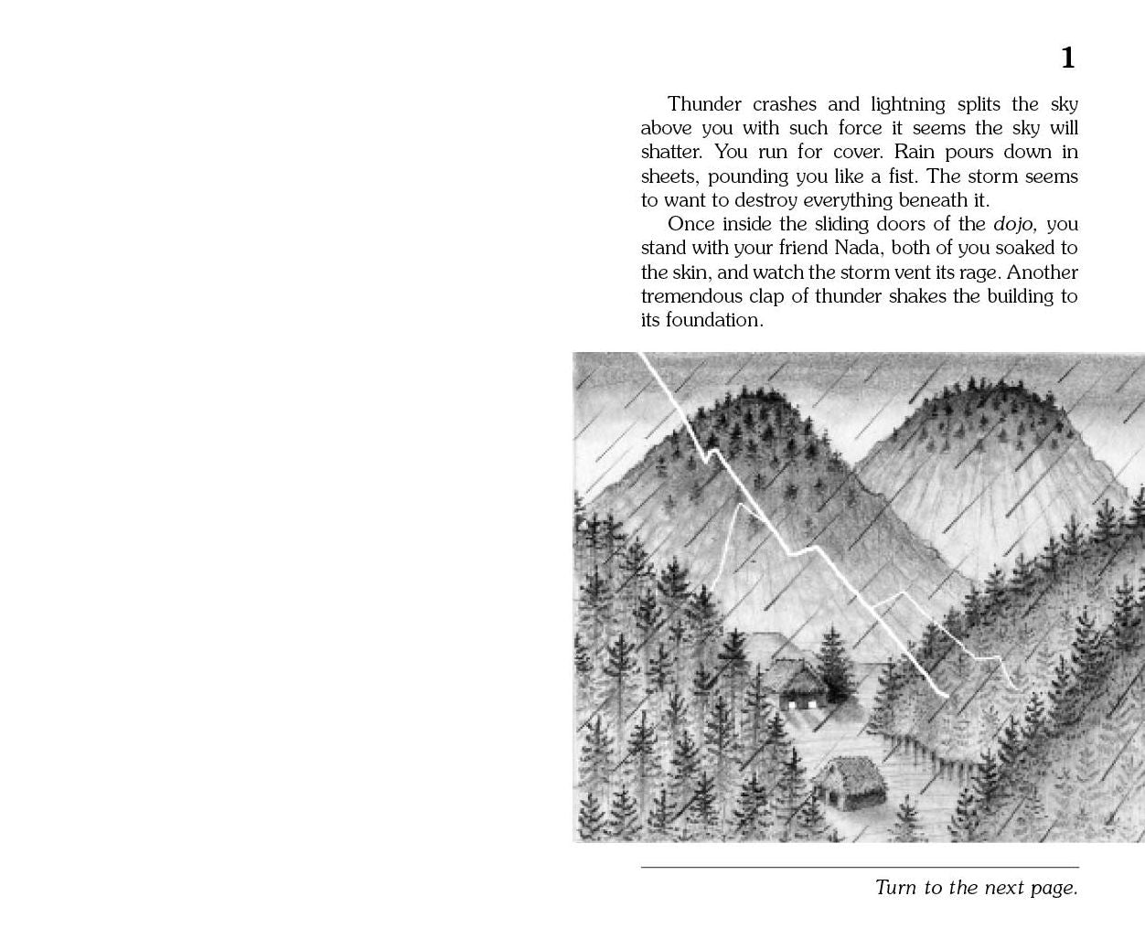 Secret of the Ninja (Choose Your Own Adventure #16)