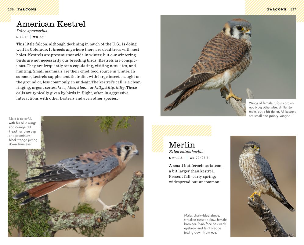 The American Birding Association Field Guide to the Birds of Colorado
