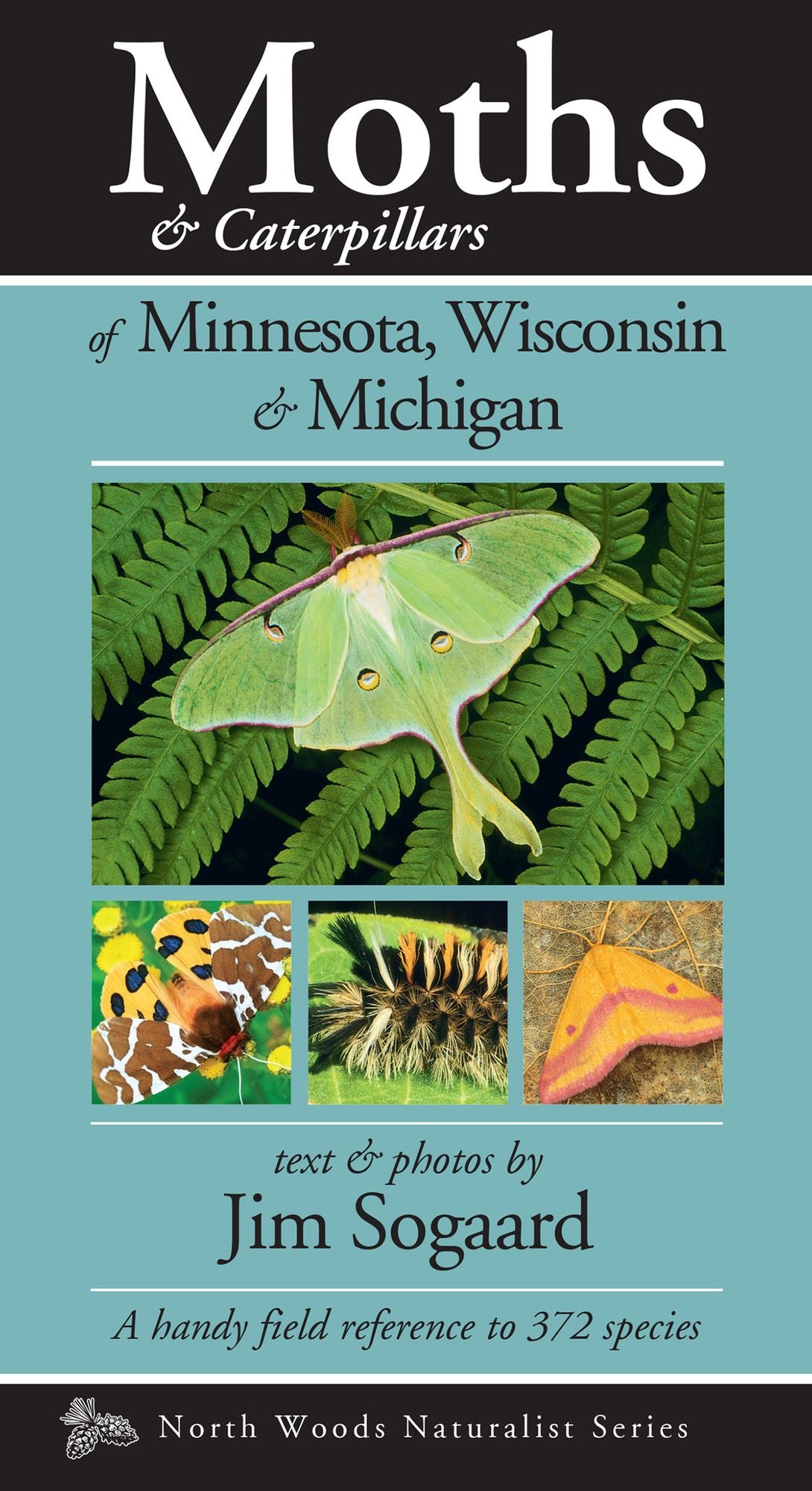 Moths & Caterpillars of Minnesota, Wisconsin & Michigan: A Handy Field Reference to 372 Species