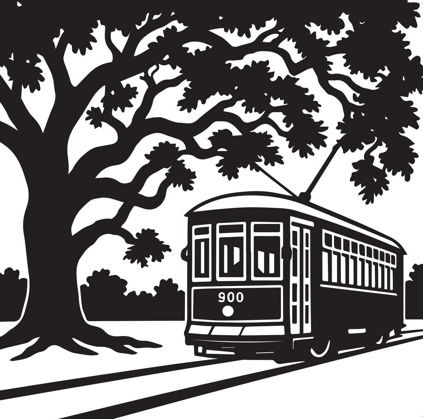 Patterns of New Orleans