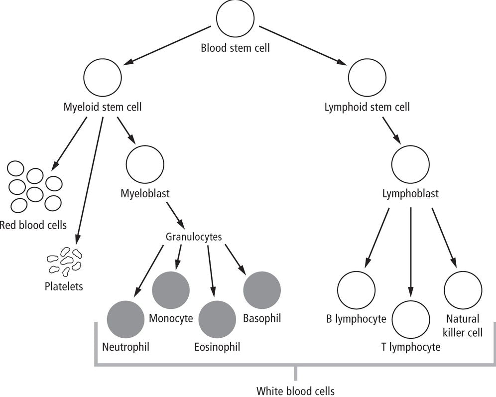 Childhood Leukemia: A Guide for Families, Friends & Caregivers
