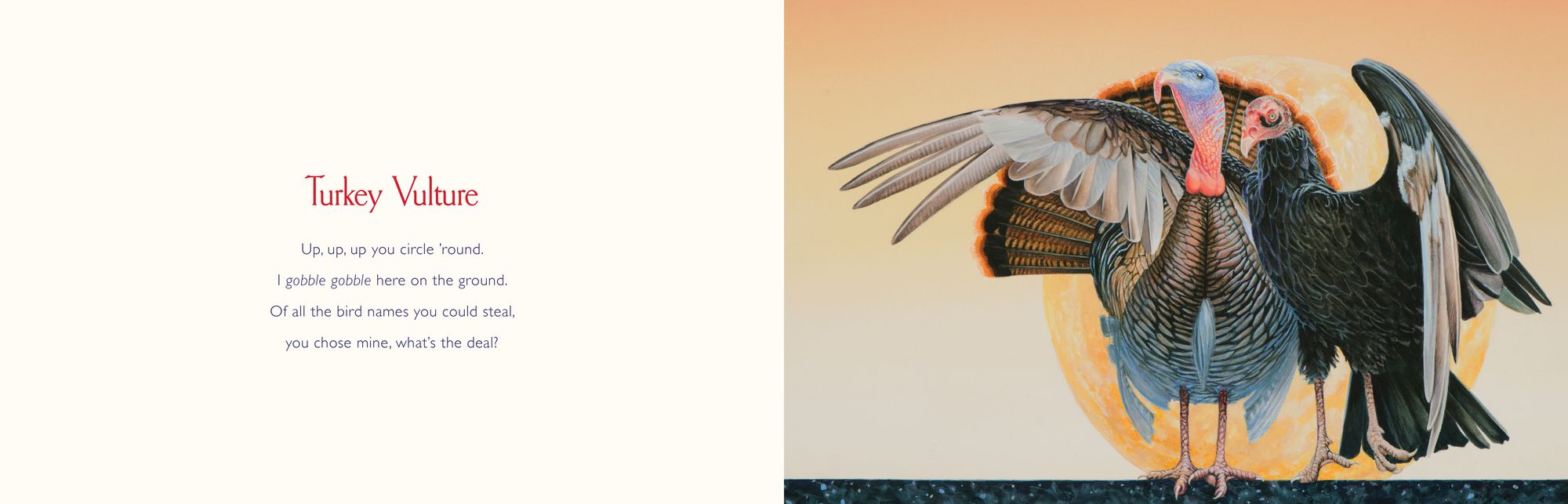 You Stole My Name: A Rhyming Book of Animals That Sound Alike