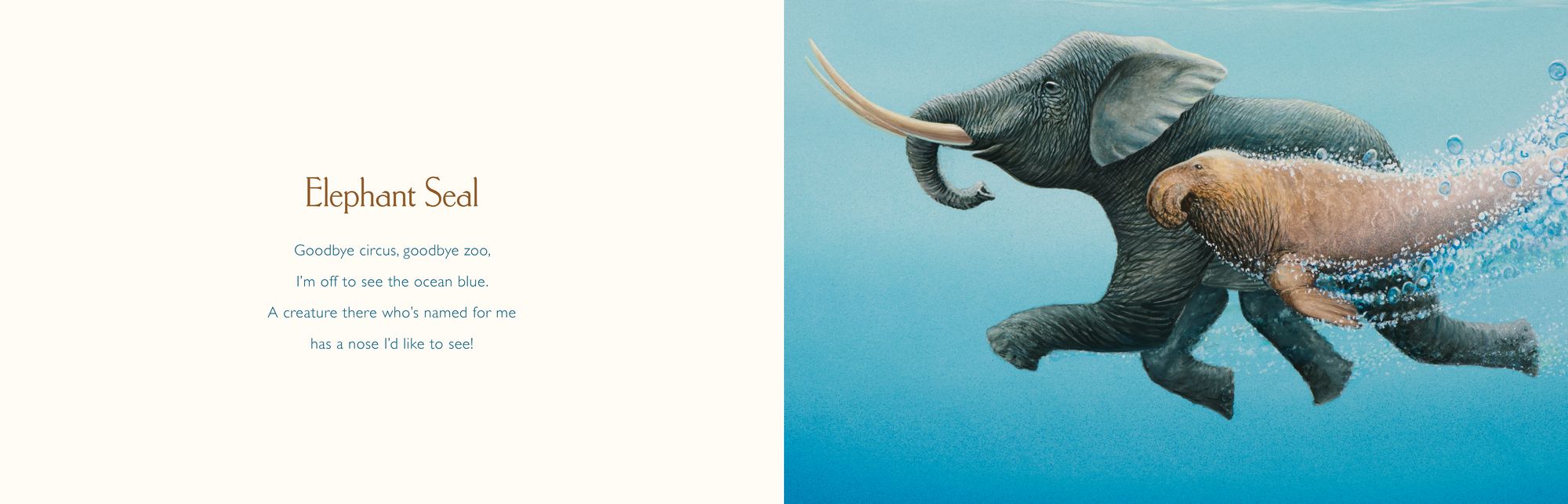 You Stole My Name: A Rhyming Book of Animals That Sound Alike