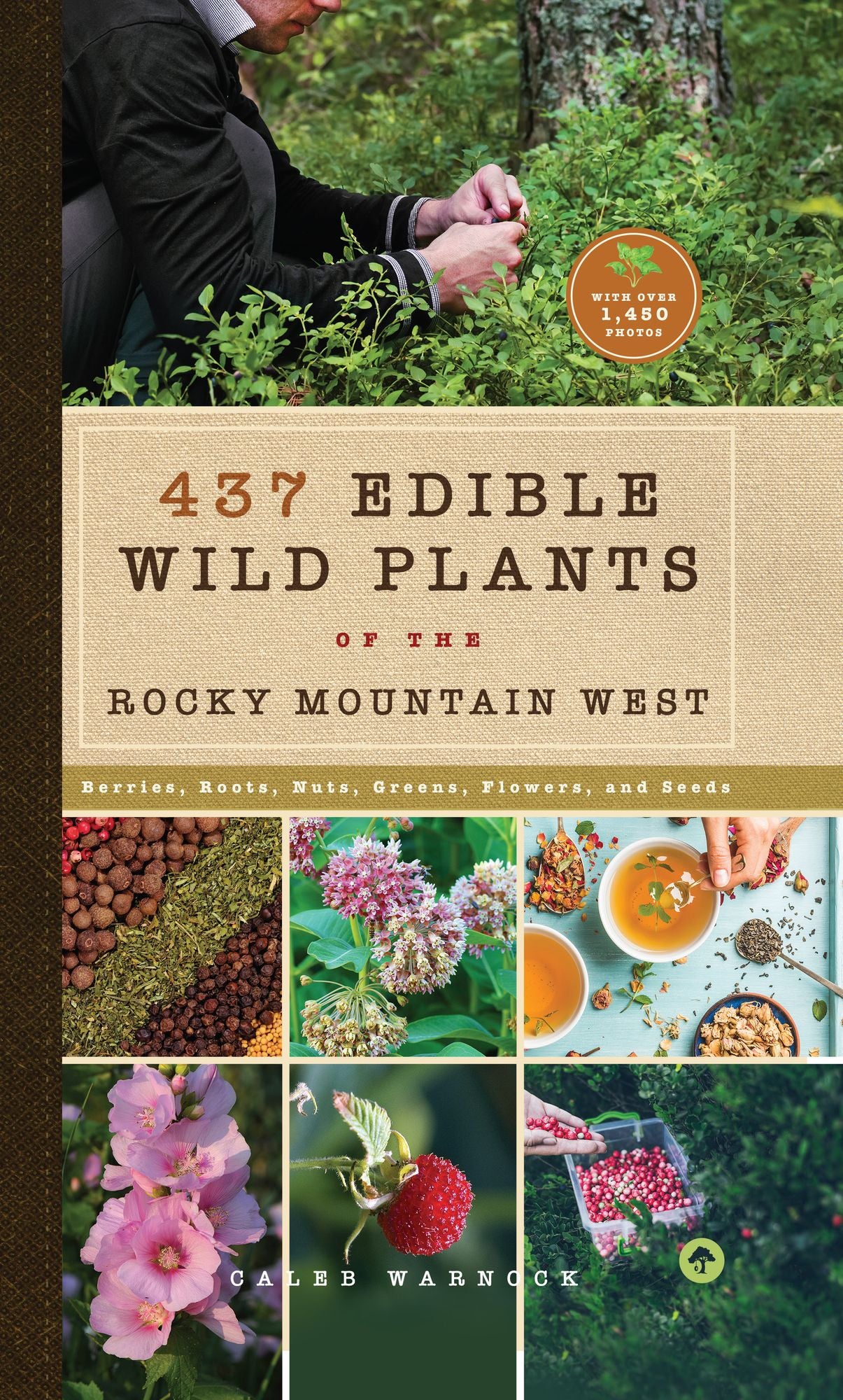 437 Edible Wild Plants of the Rocky Mountain West: Berries, Roots, Nuts, Greens, Flowers, and Seeds