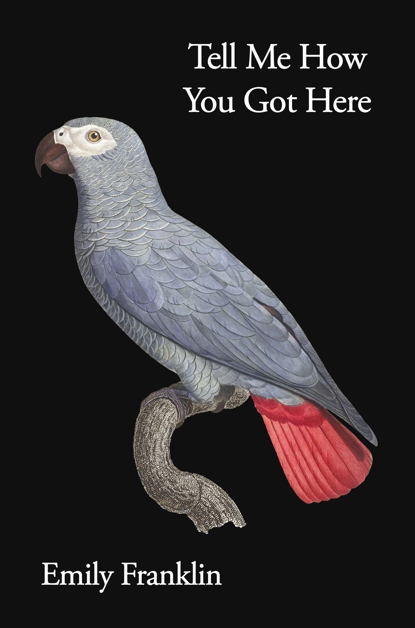 Tell Me How You Got Here