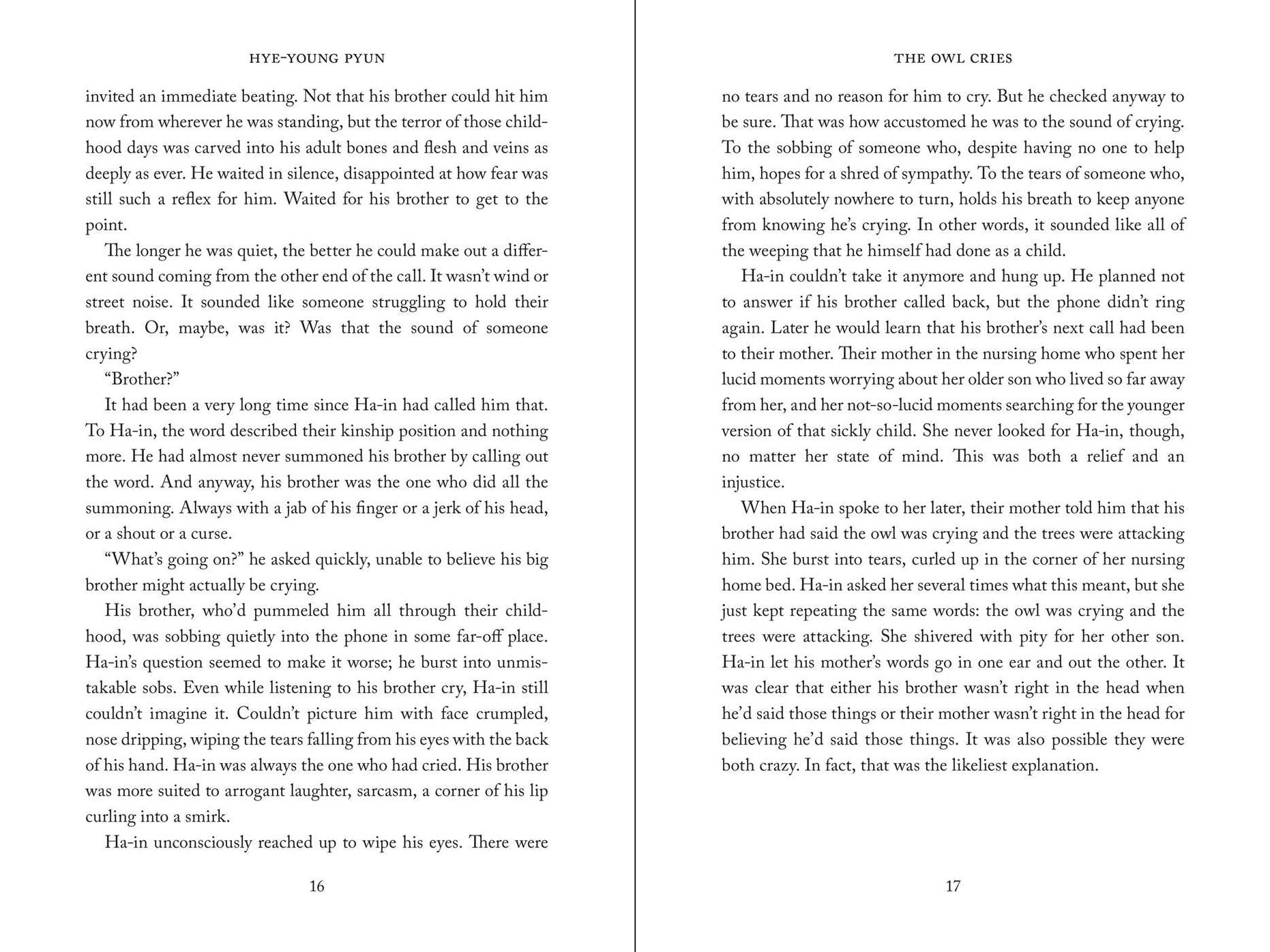 The Owl Cries: A Novel