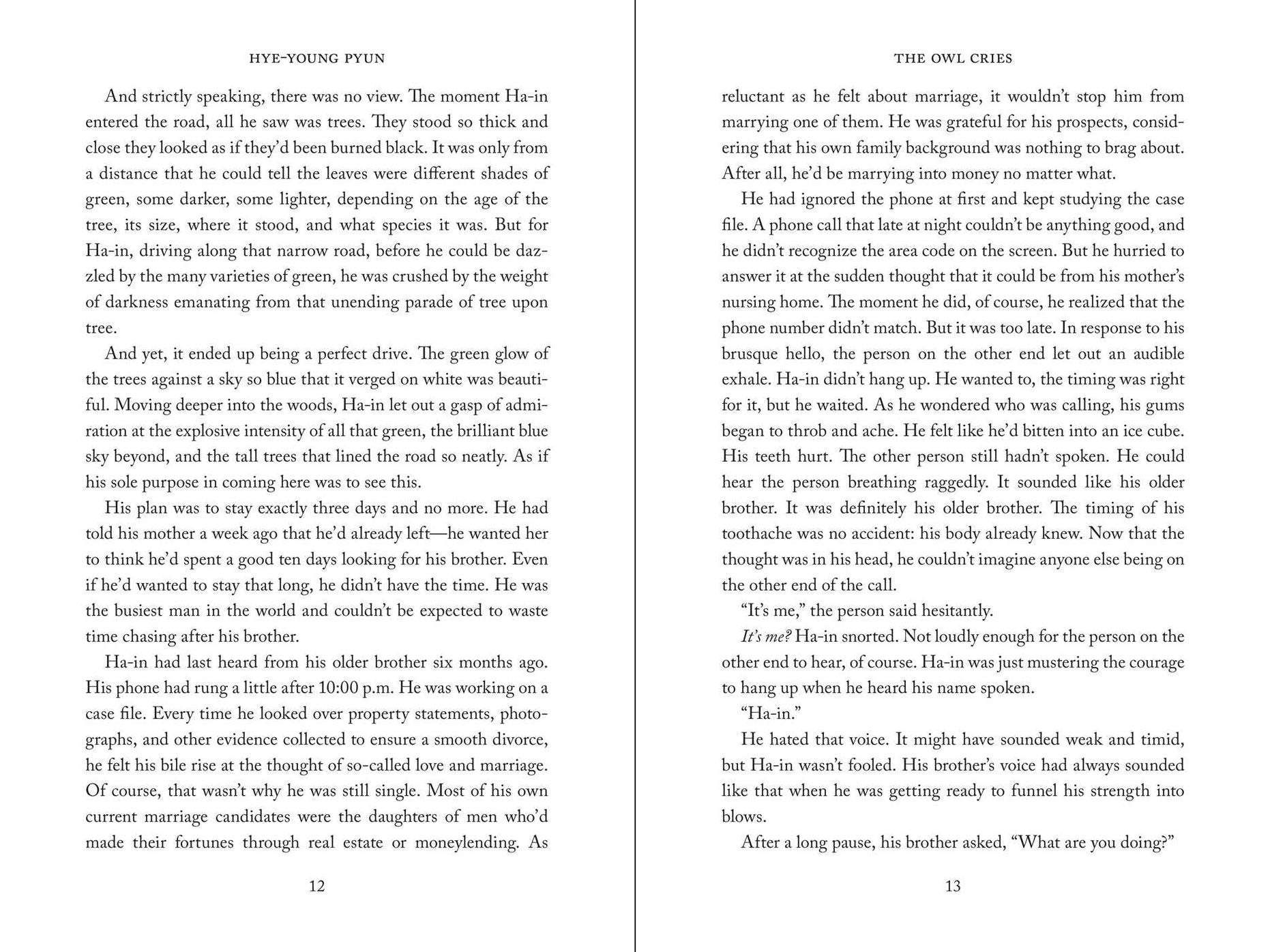 The Owl Cries: A Novel