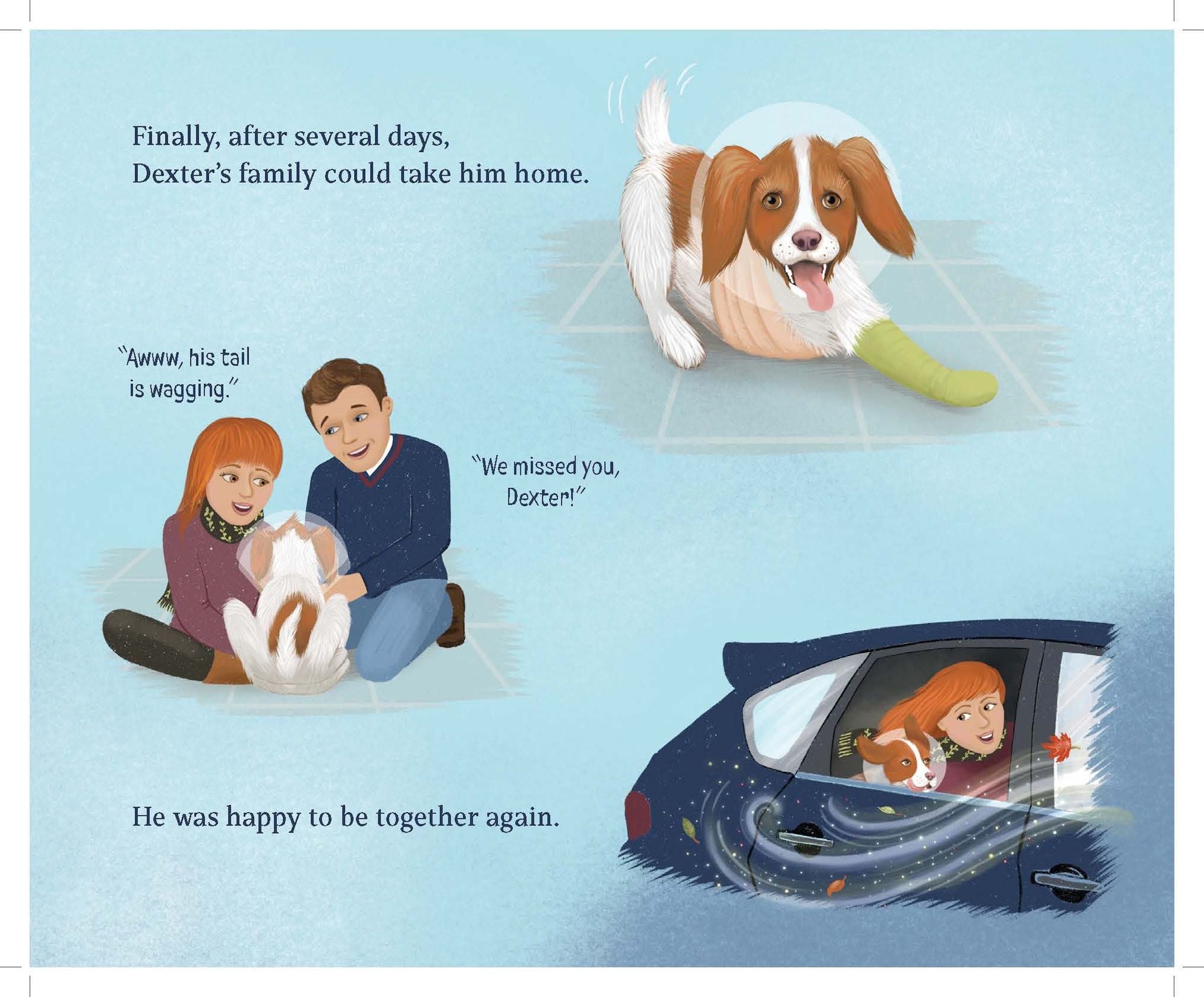 Dexter: The Stand Up Dog