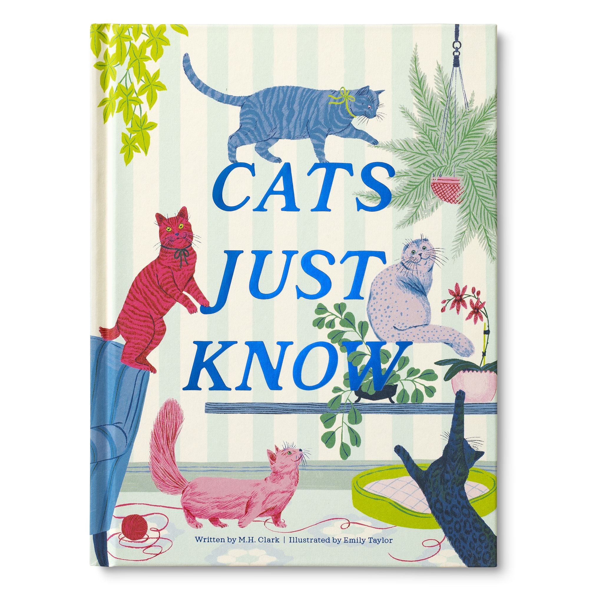 Cats Just Know