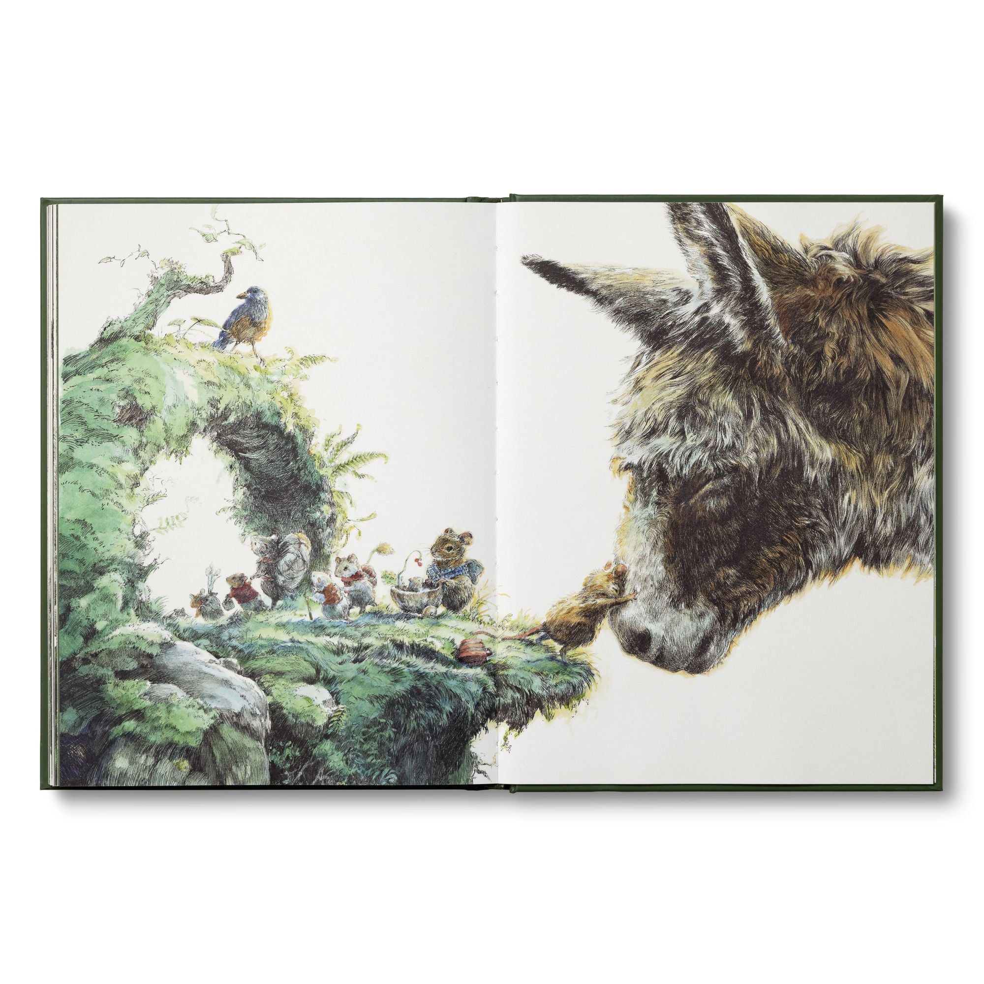 The Storyteller's Almanac