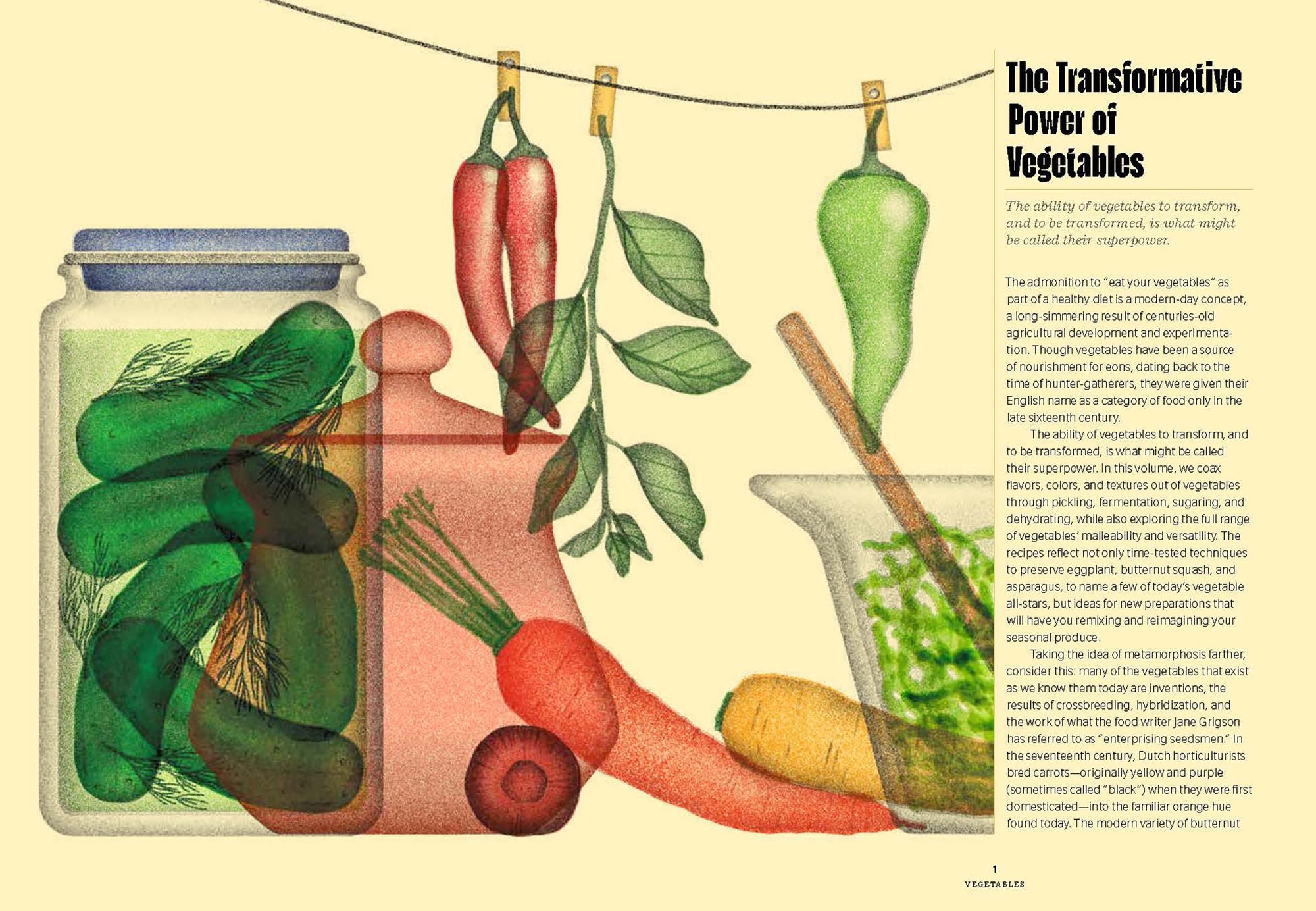 Preserved: Vegetables: 25 Recipes