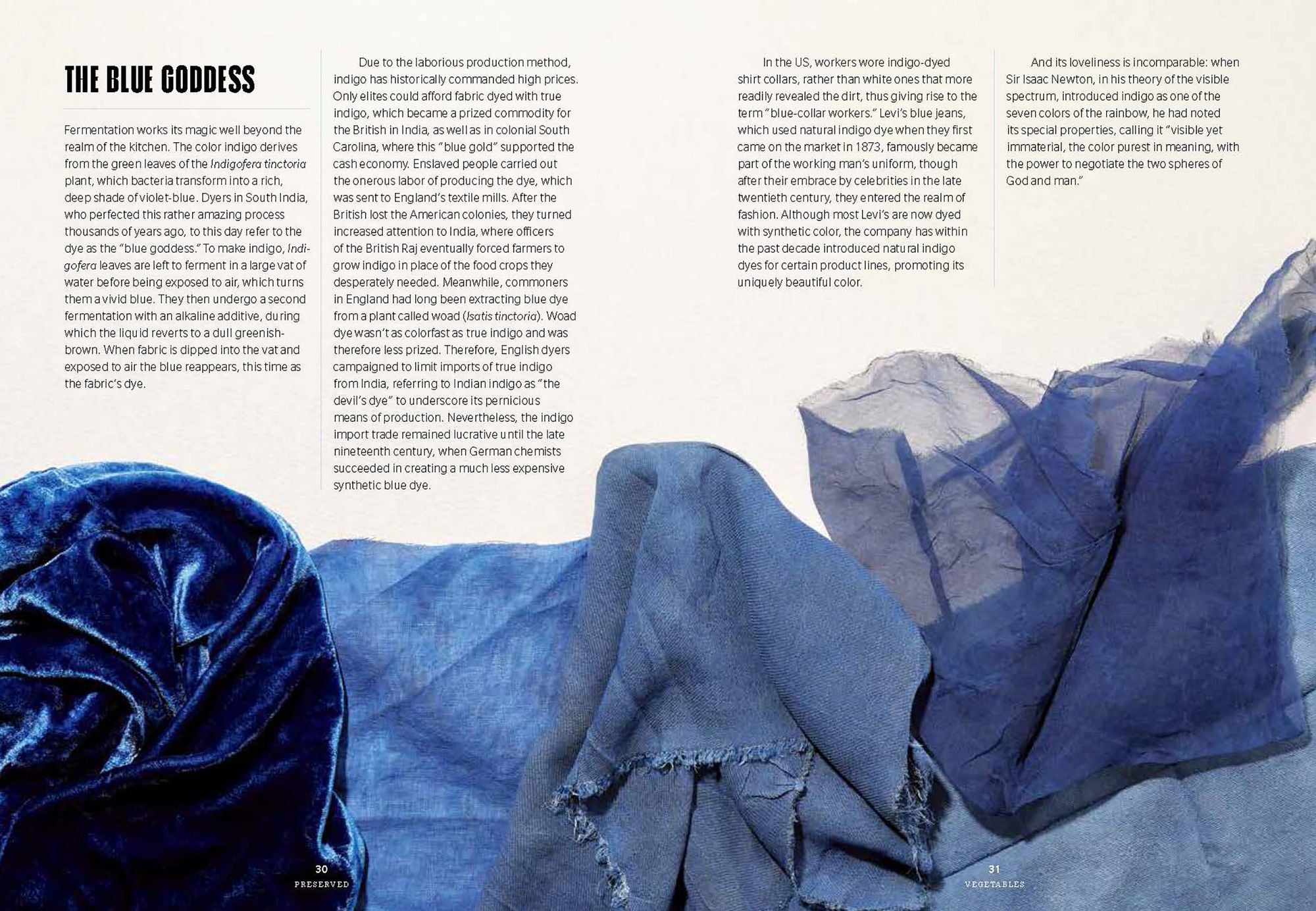 Preserved: Vegetables: 25 Recipes