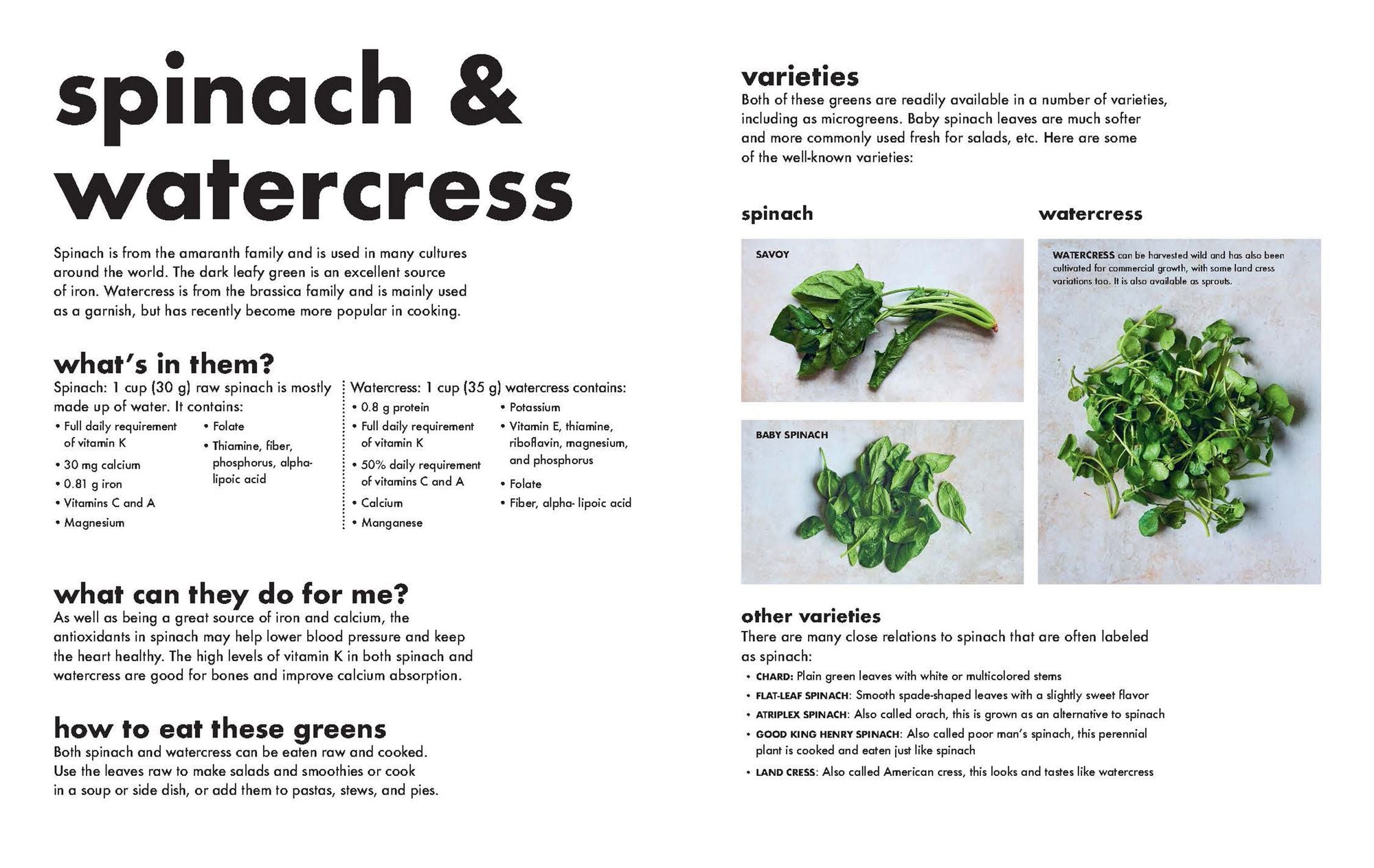 Healthiest Vegetables