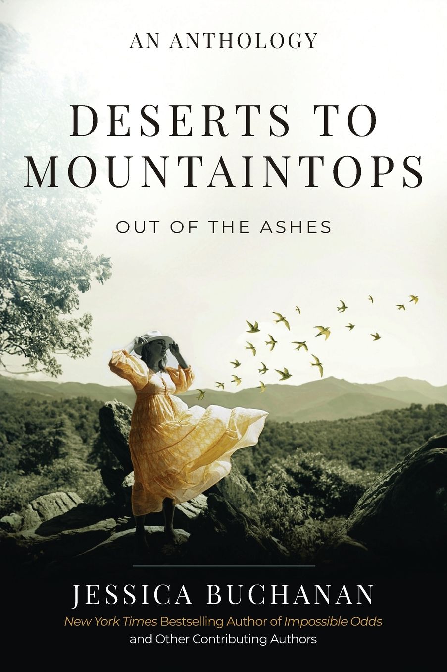Deserts to Mountaintops: Out of the Ashes