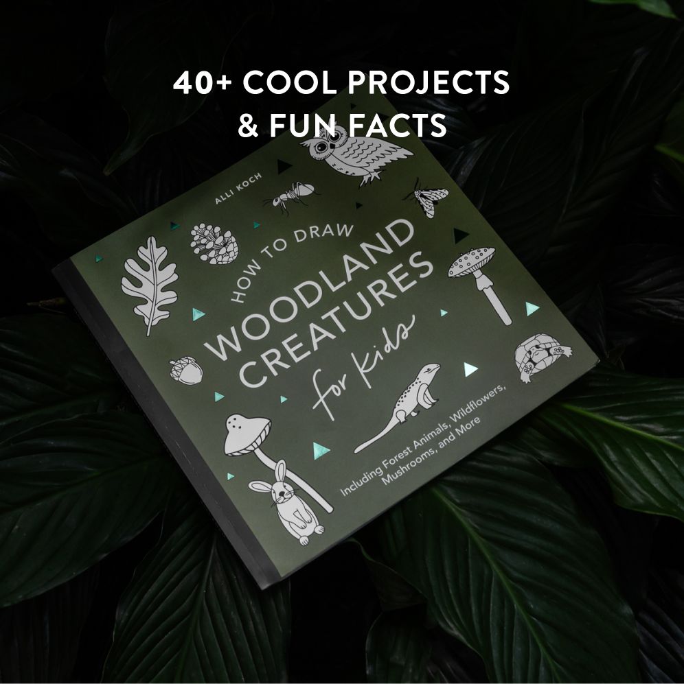Mushrooms & Woodland Creatures: How to Draw Books for Kids with Woodland Creatures, Bugs, Plants, and Fungi