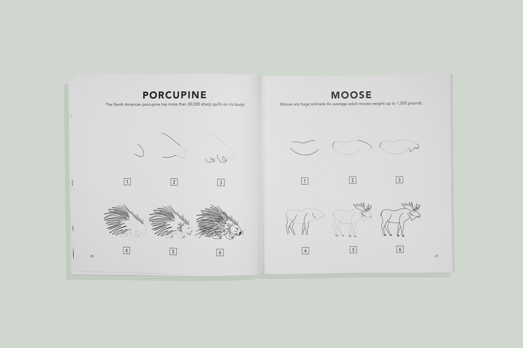 Mushrooms & Woodland Creatures: How to Draw Books for Kids with Woodland Creatures, Bugs, Plants, and Fungi