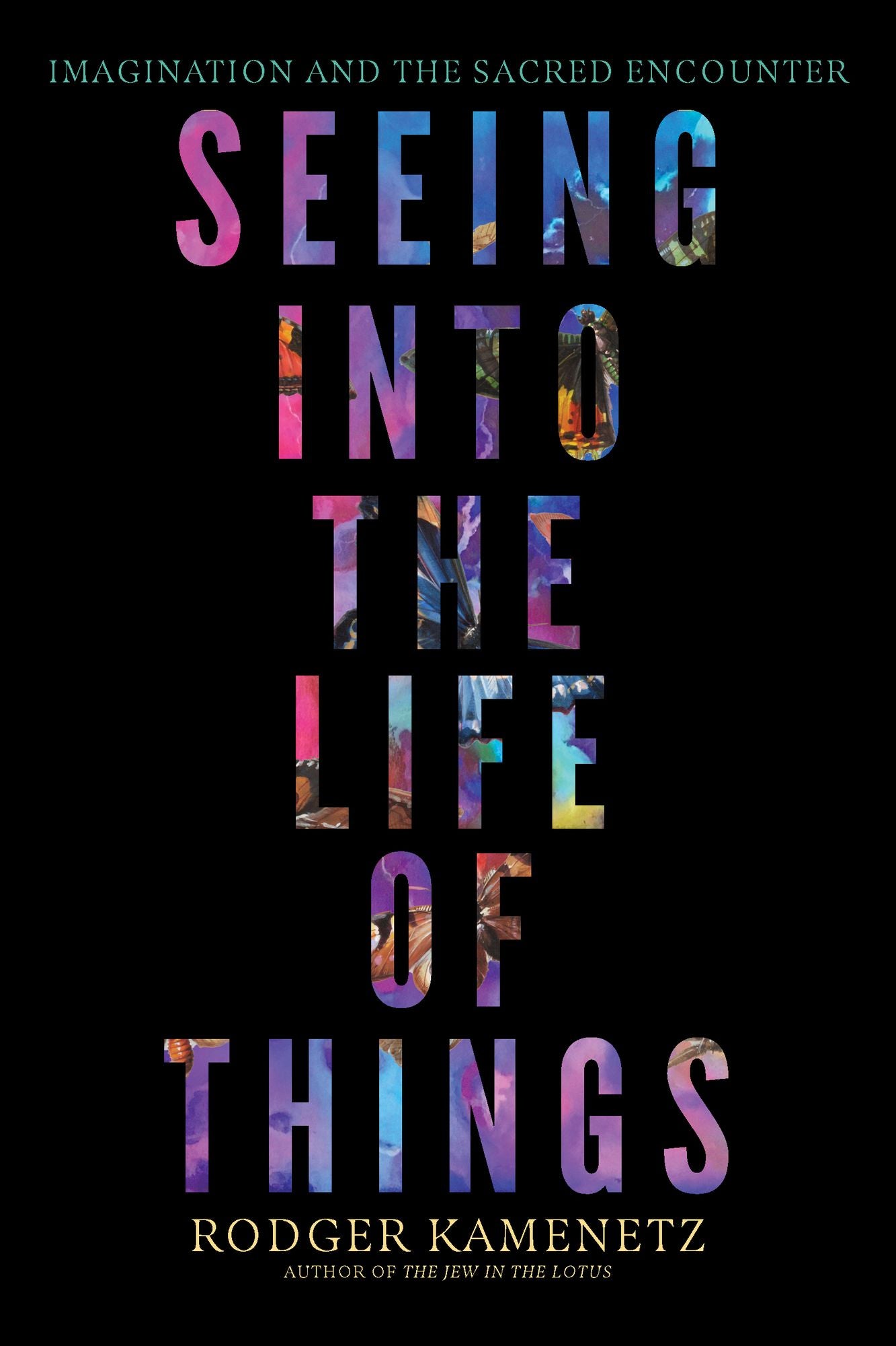 Seeing into the Life of Things: Imagination and the Sacred Encounter