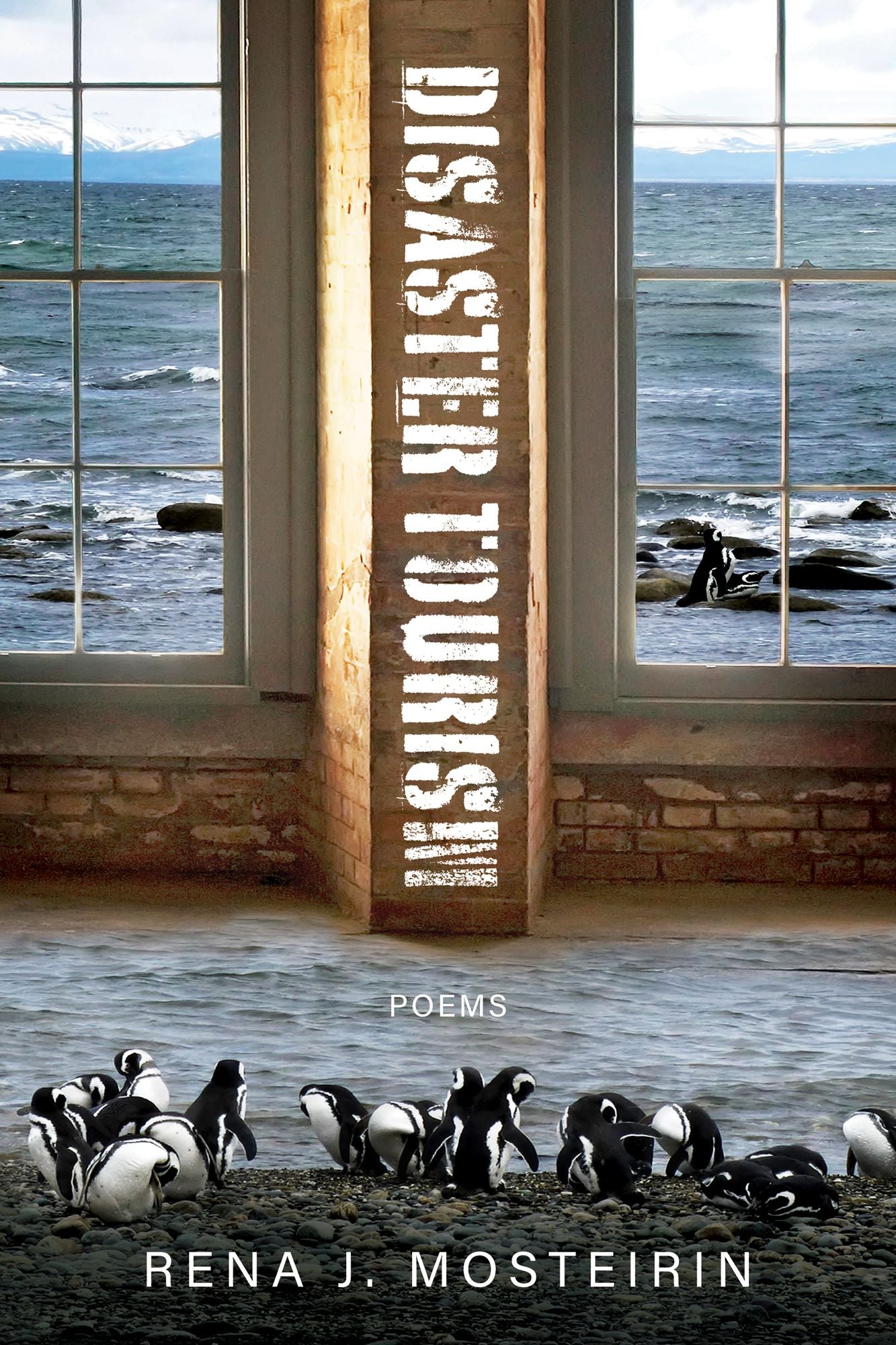 Disaster Tourism