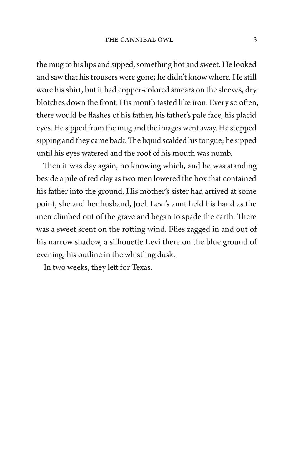 The Cannibal Owl