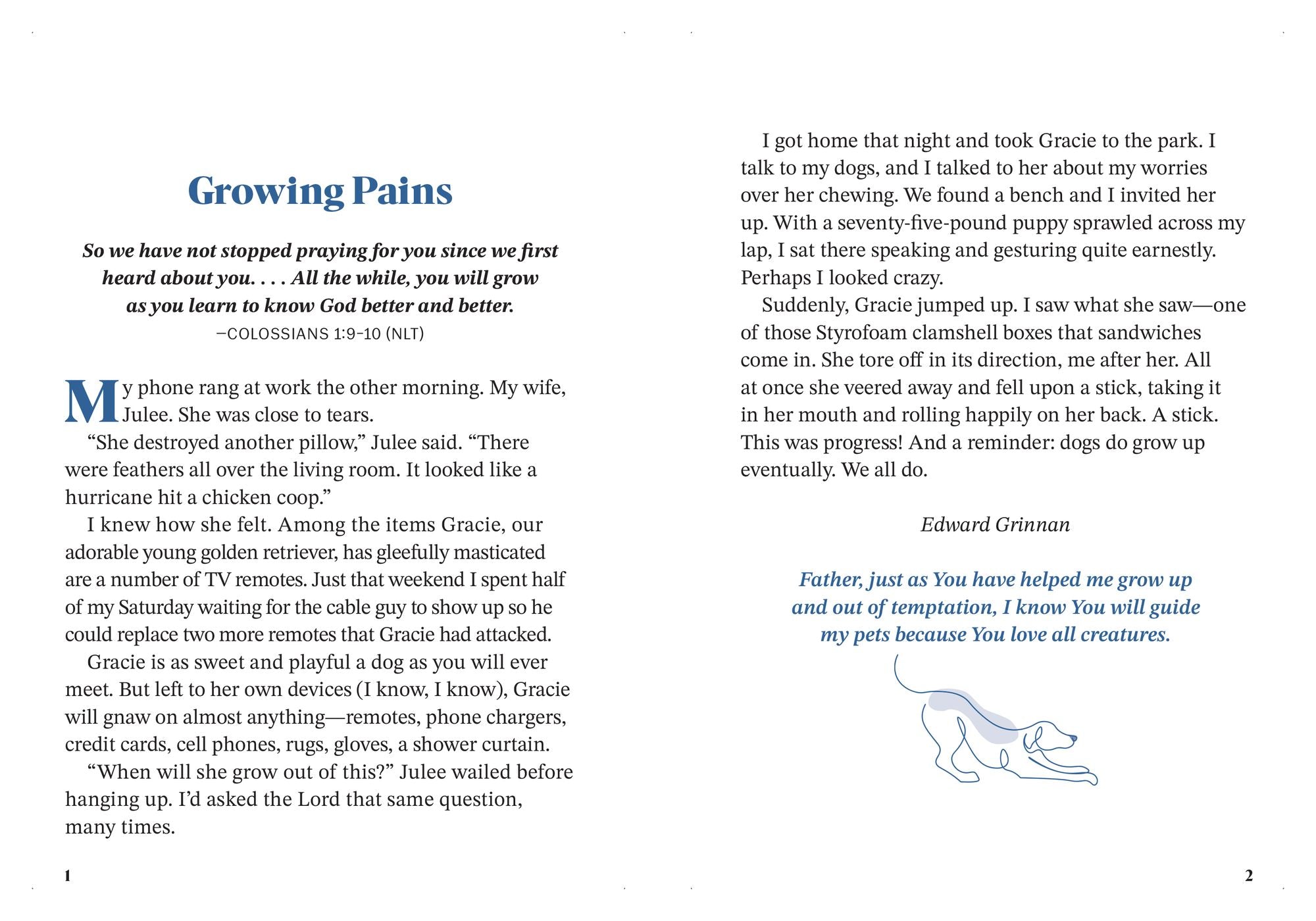 Faithful Paws: 100 Devotions Inspired by Dogs