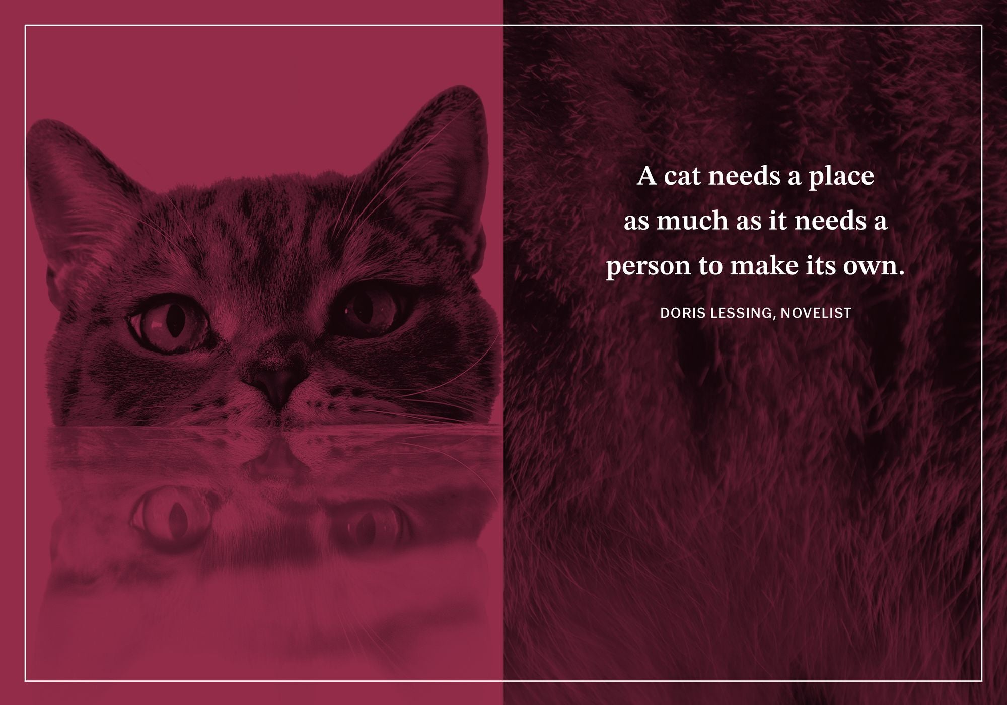 Faithful Purrs: 100 Devotions Inspired by Cats