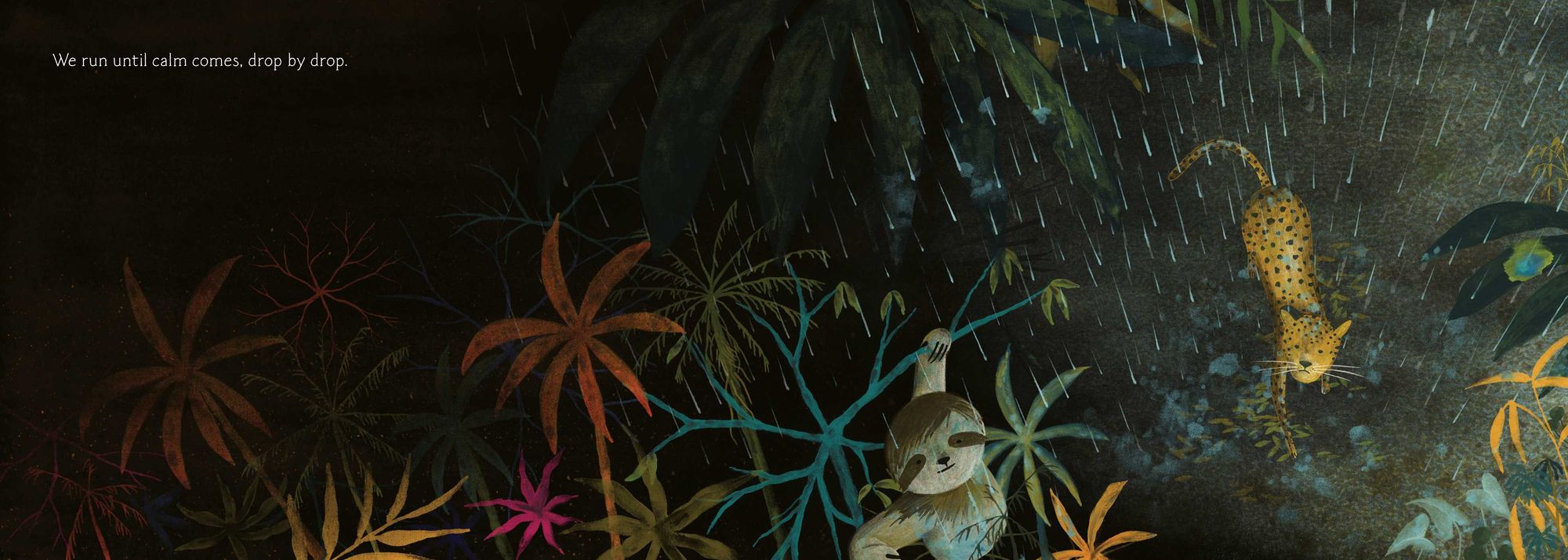 Waiting for the Dawn: A Tale of Forest Fires and Renewal