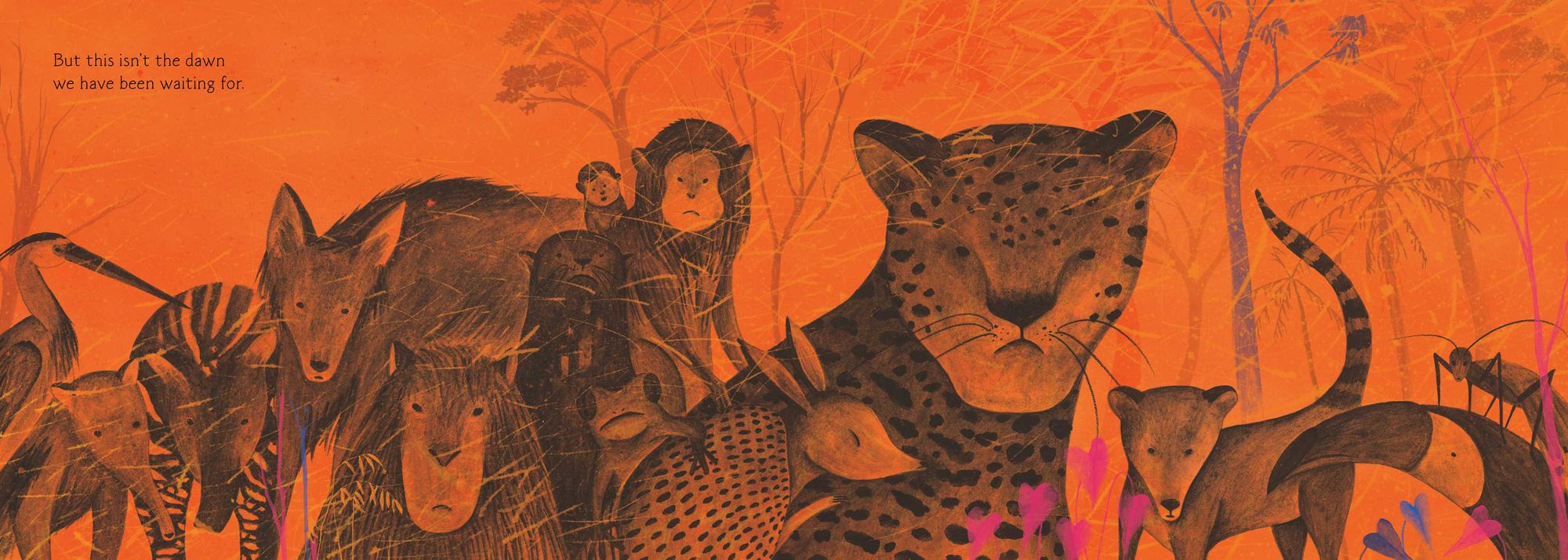 Waiting for the Dawn: A Tale of Forest Fires and Renewal