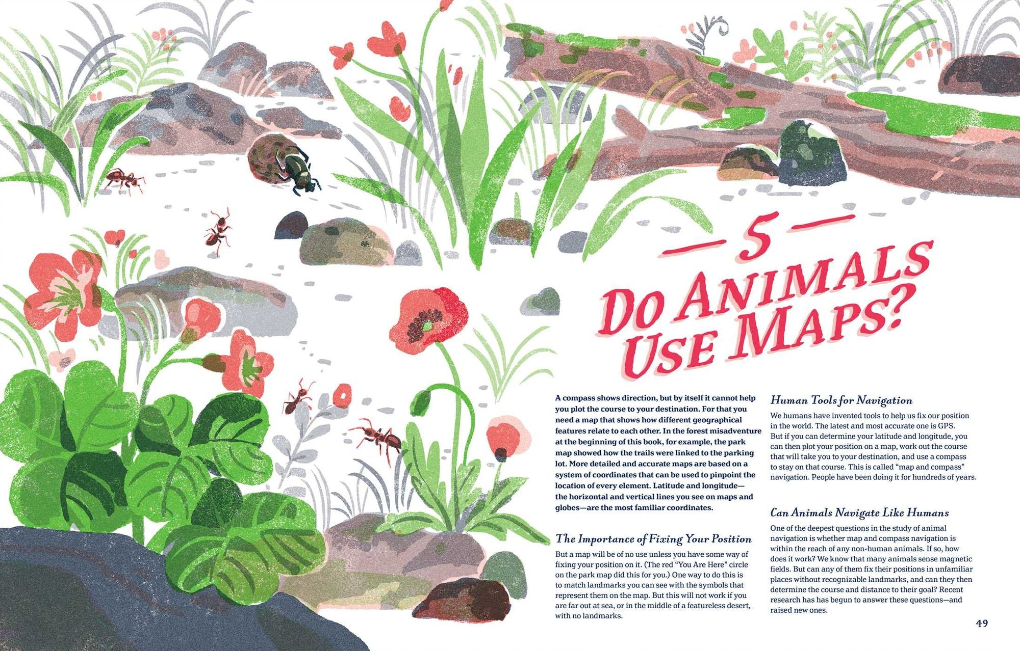 Supernavigators: How Animals Find Their Way (Illustrated Young Readers Edition)