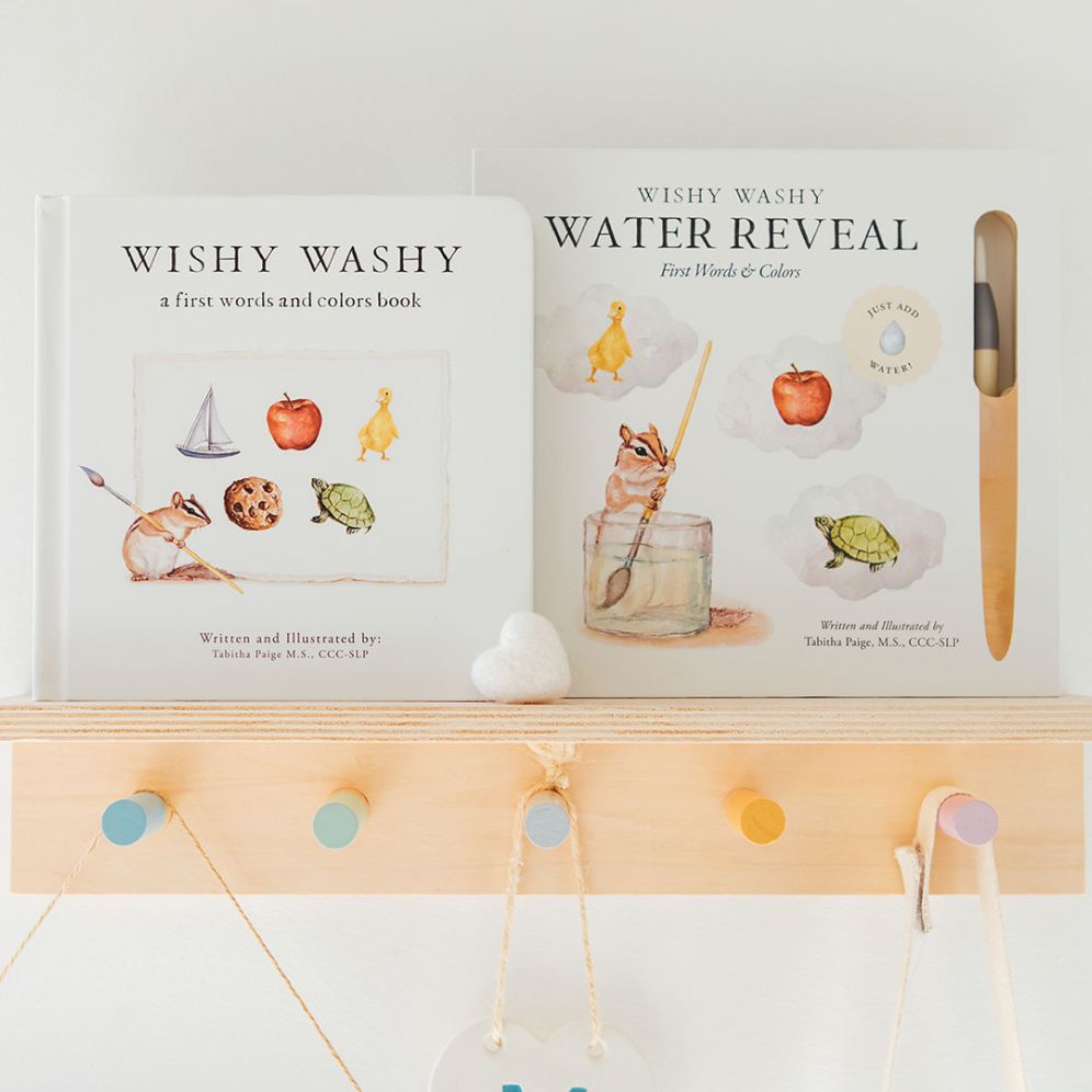Wishy Washy (Water Reveal Edition): A Reusable Water Reveal Activity Book Teaching First Words and Colors