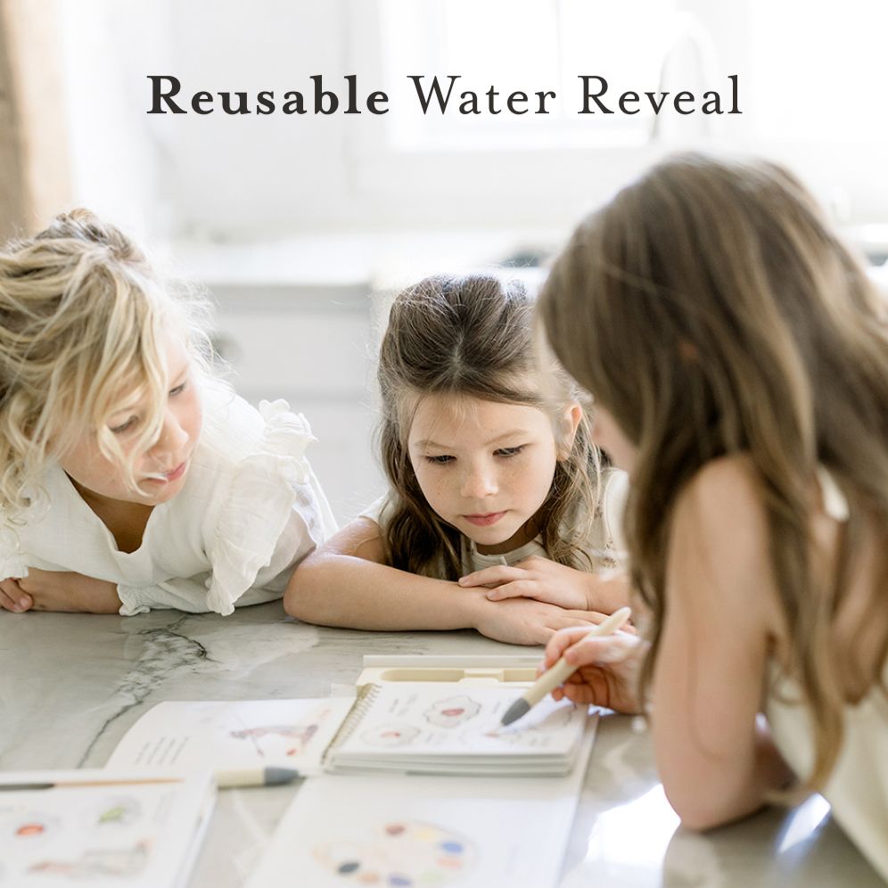 Wishy Washy (Water Reveal Edition): A Reusable Water Reveal Activity Book Teaching First Words and Colors