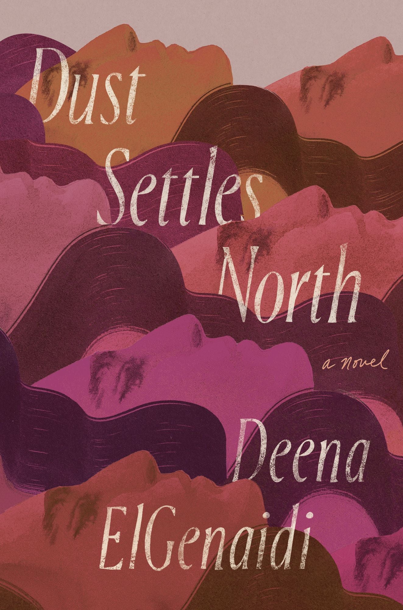 Dust Settles North