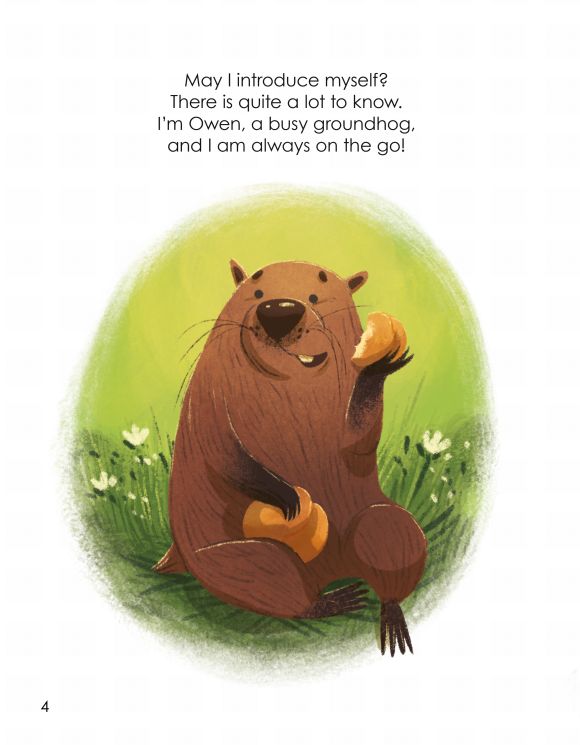 Owen the Busy Groundhog